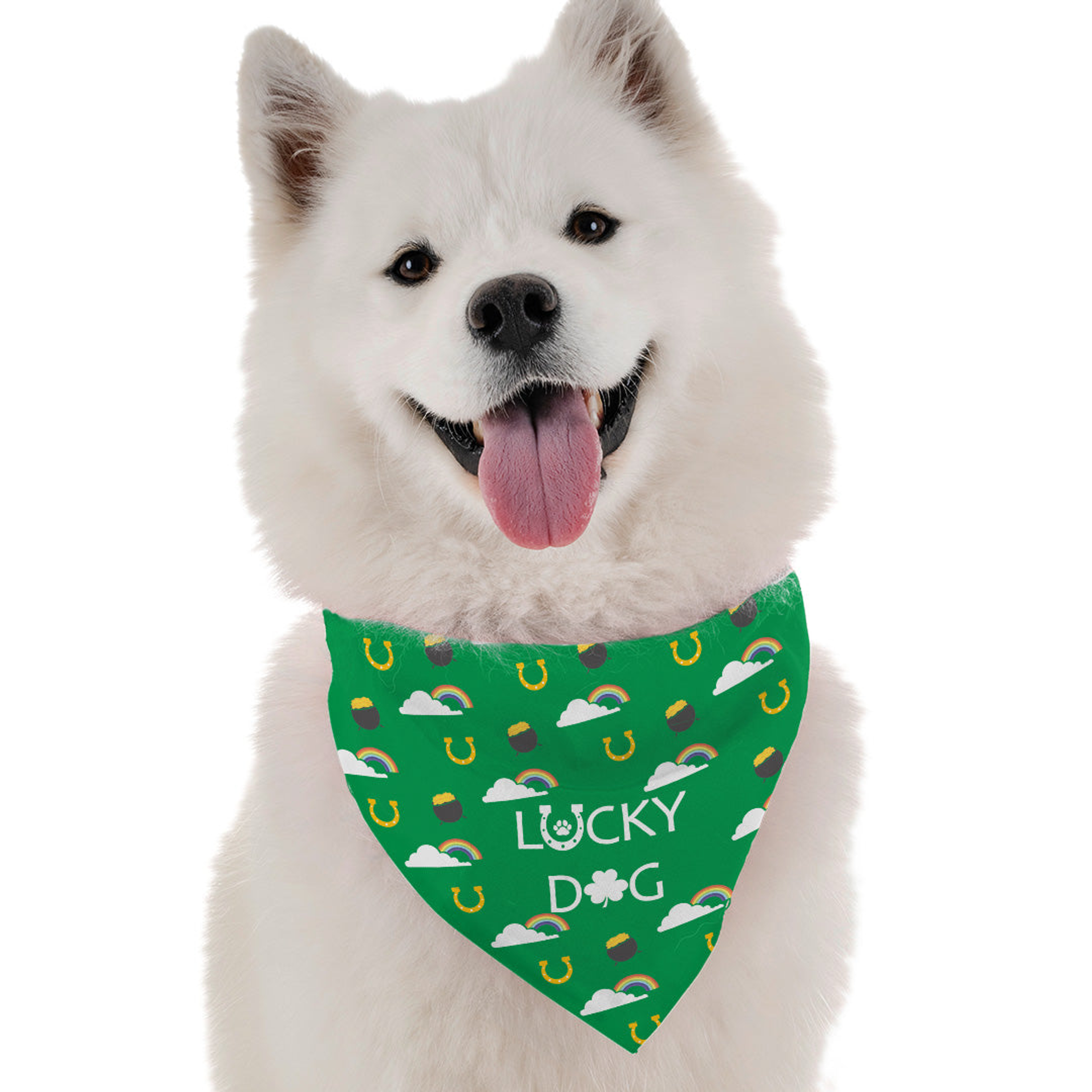 Lucky Dog Image 1