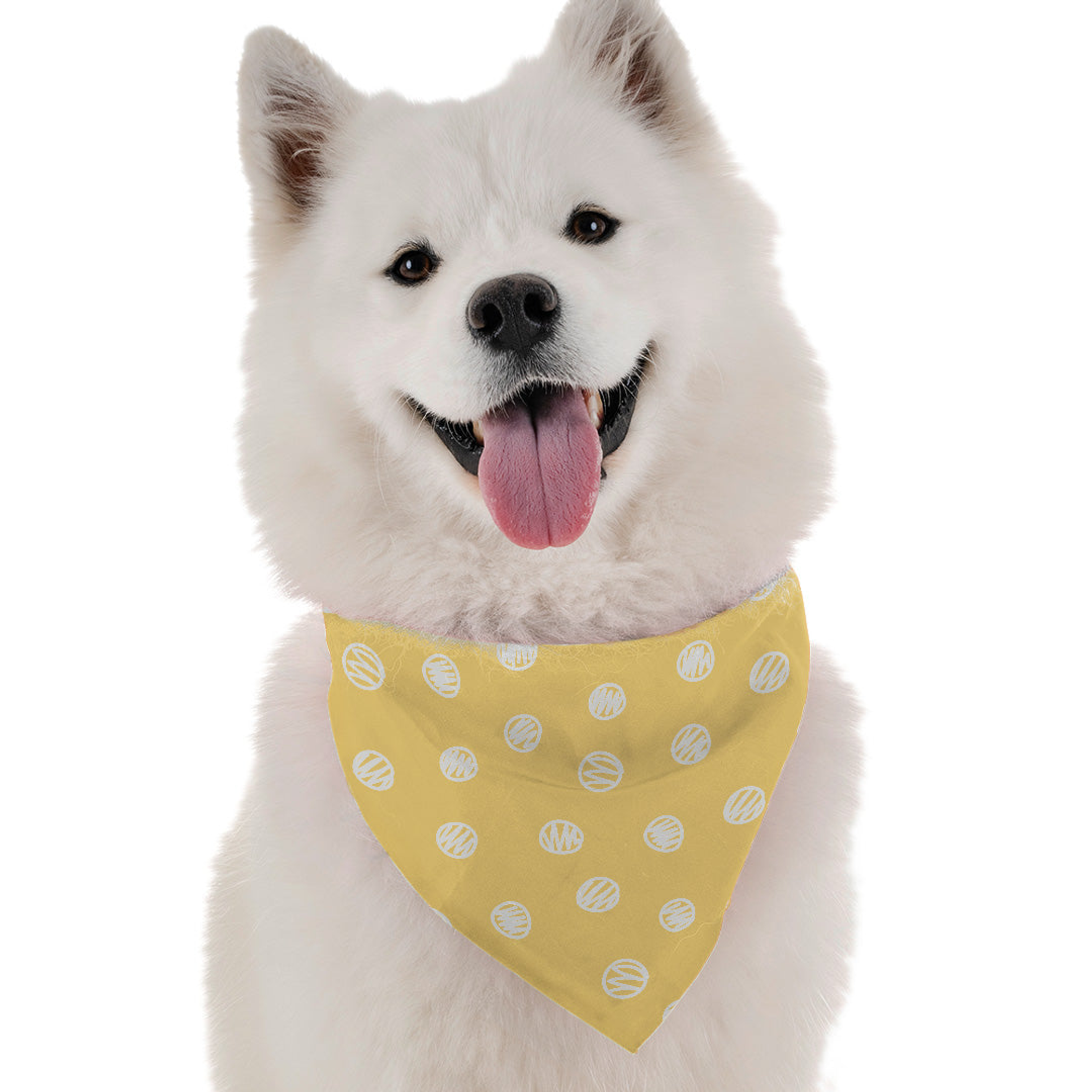 Zoey Image 1