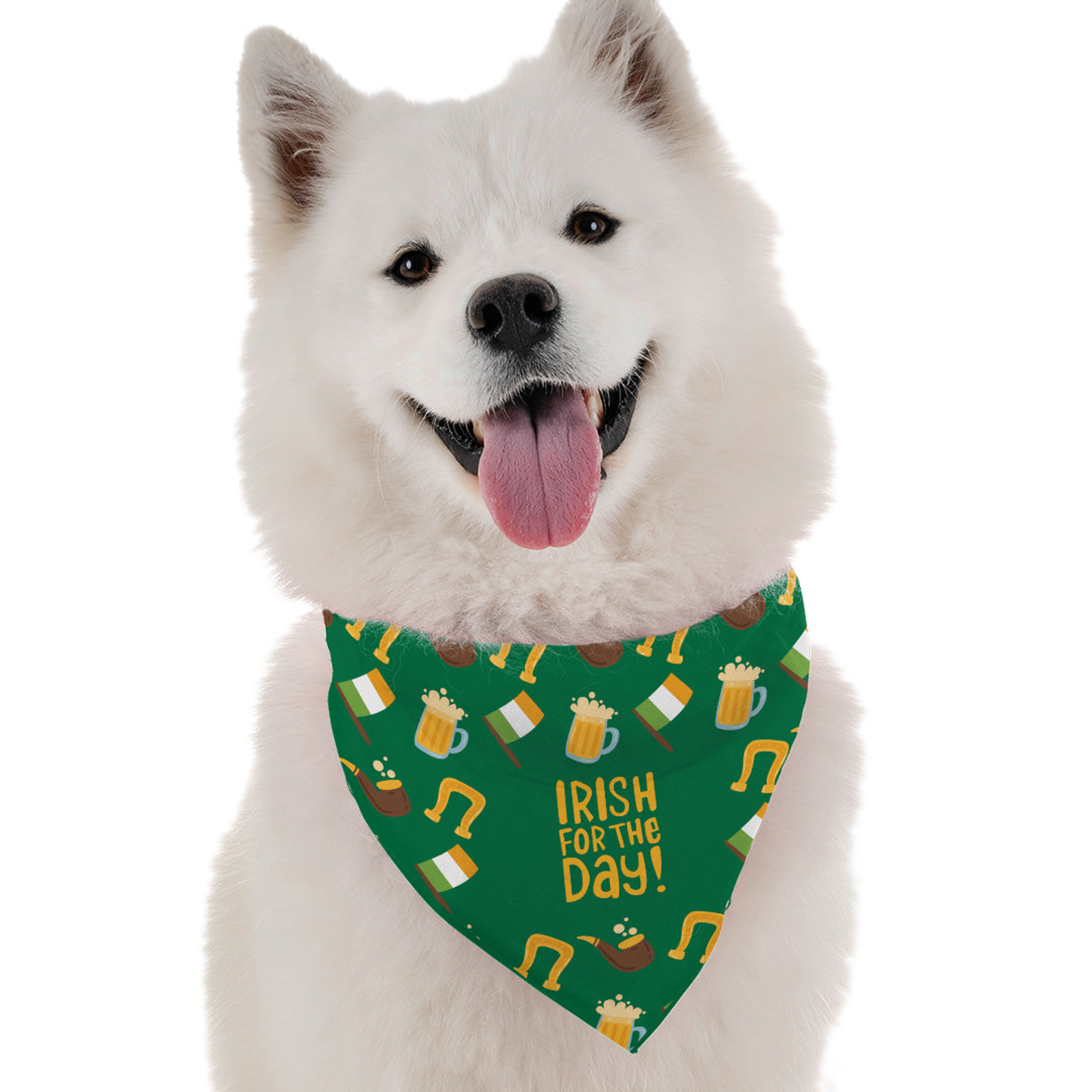Irish for the Day Image 1