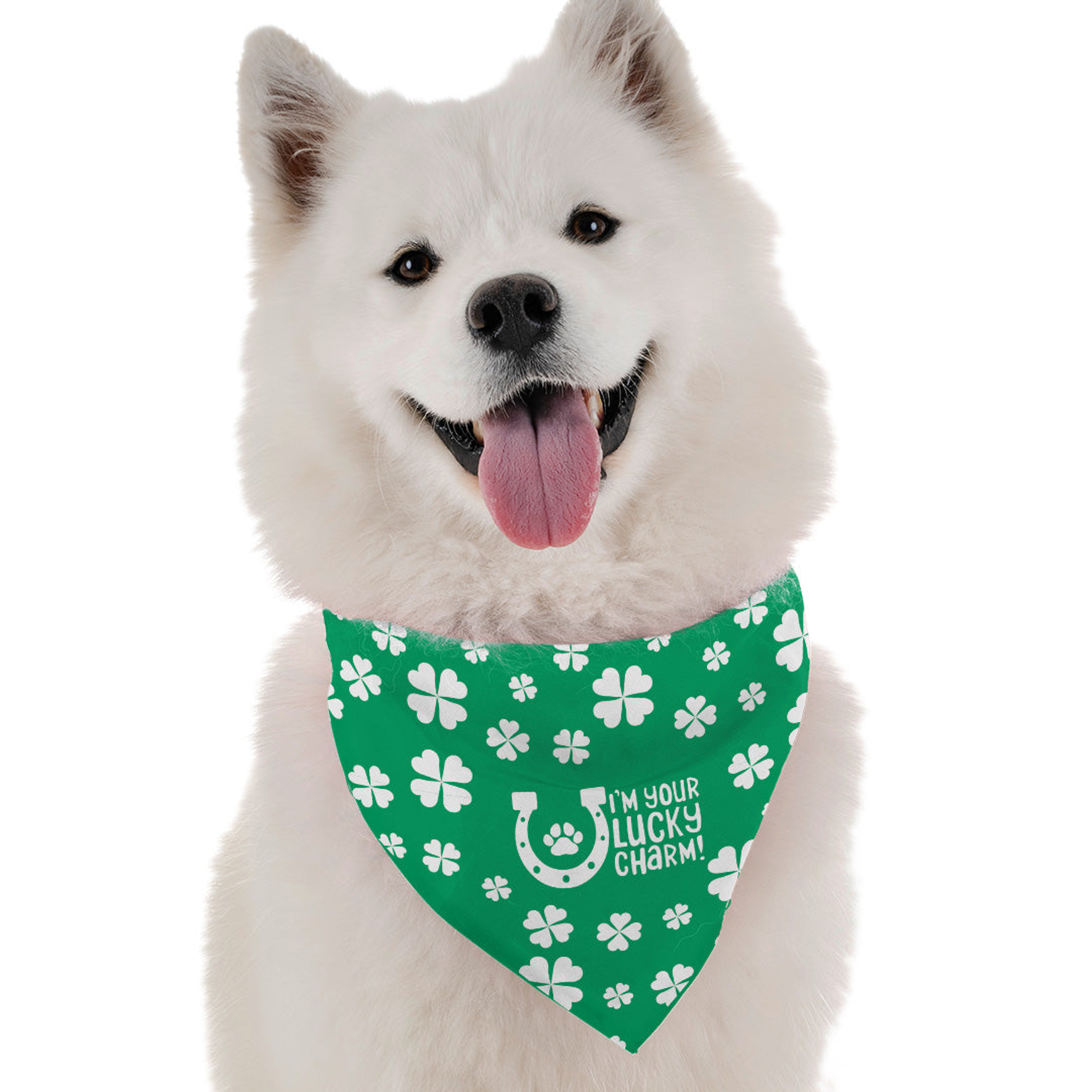 I'm Your Lucky Charm Image 1