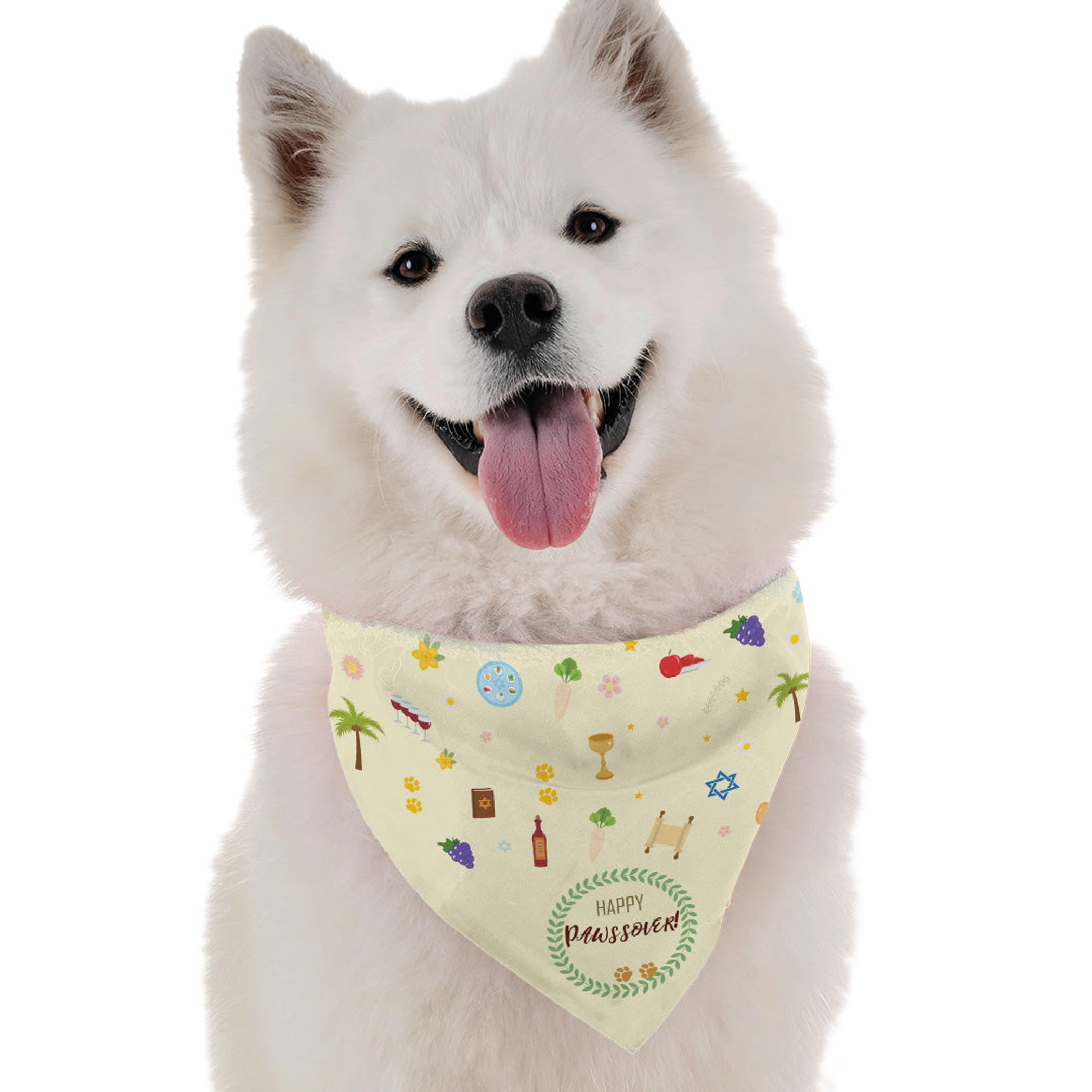 Happy PAWssover Image 1