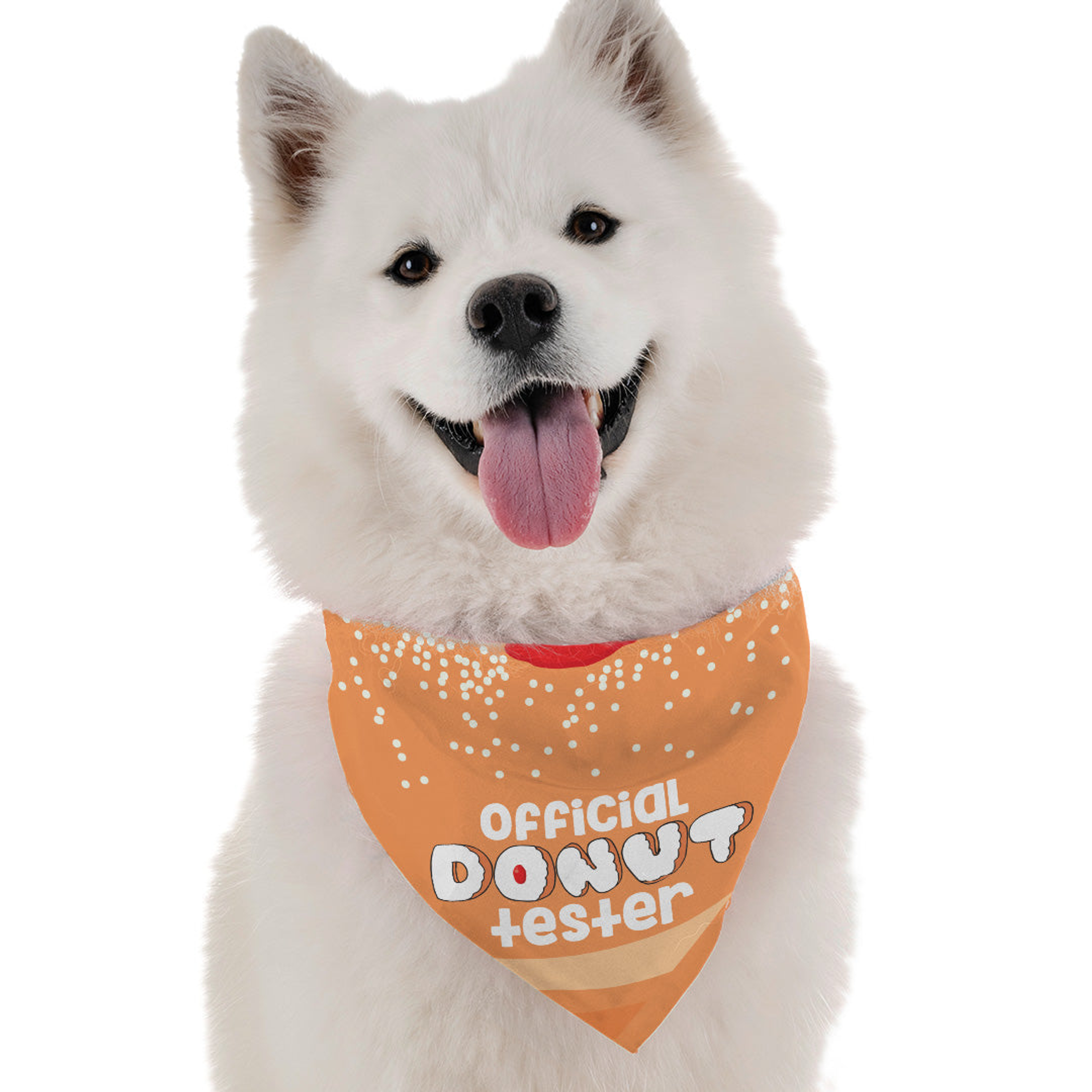 Official Donut Tester Image 1