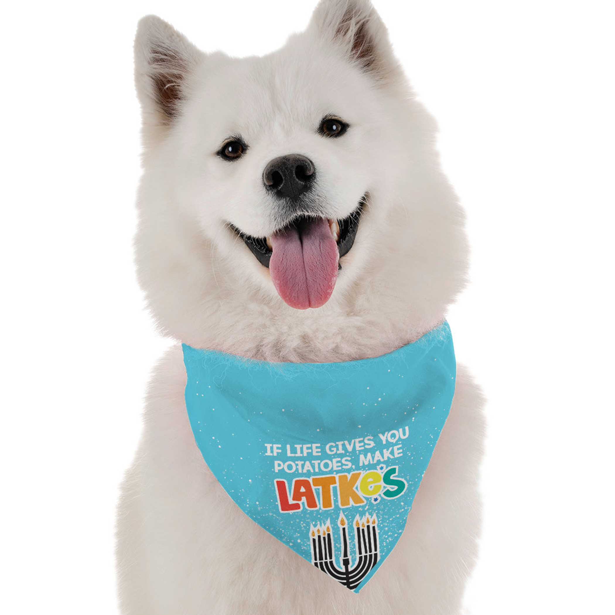 Make Latkes Image 1