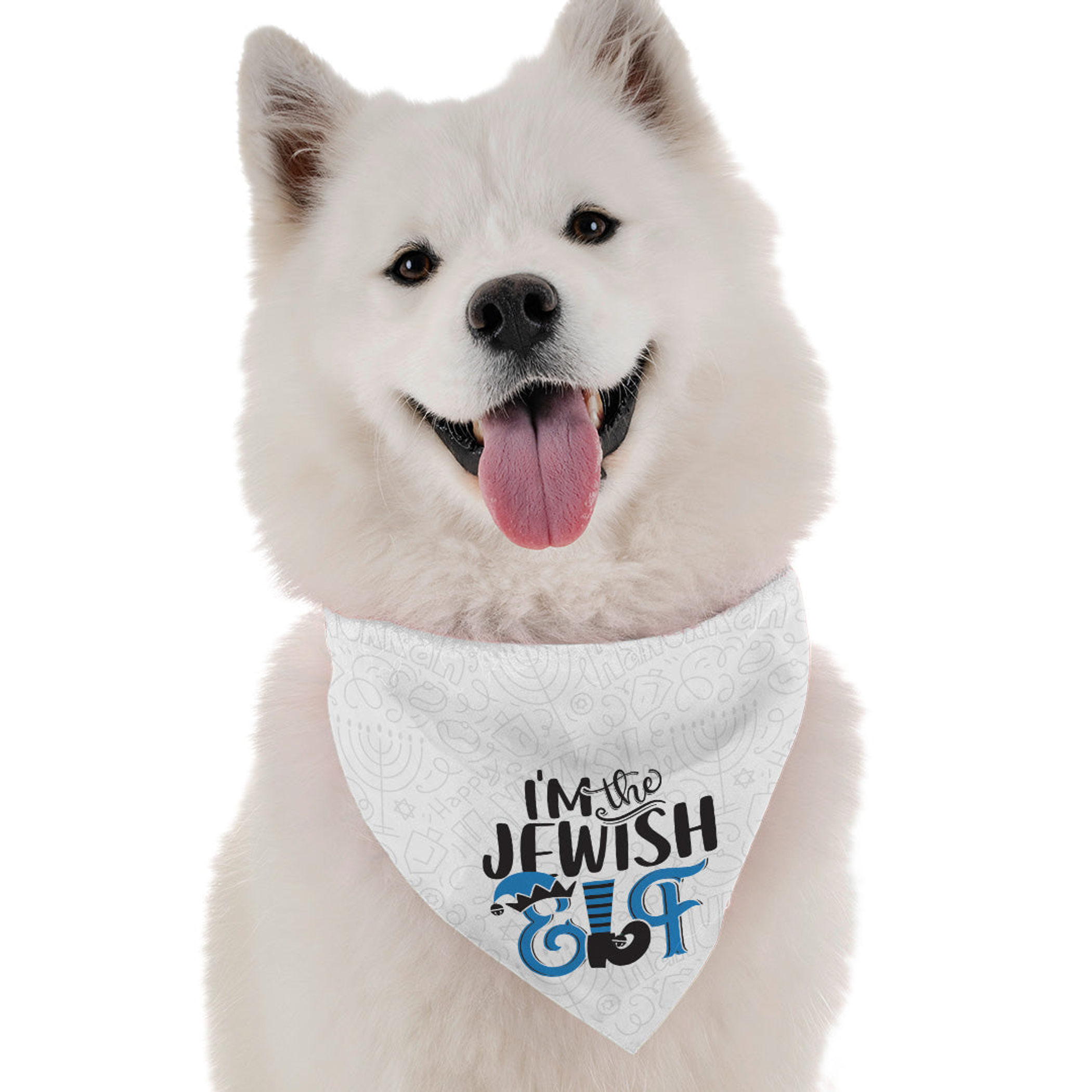 I'm the Jewish Elf Image 1