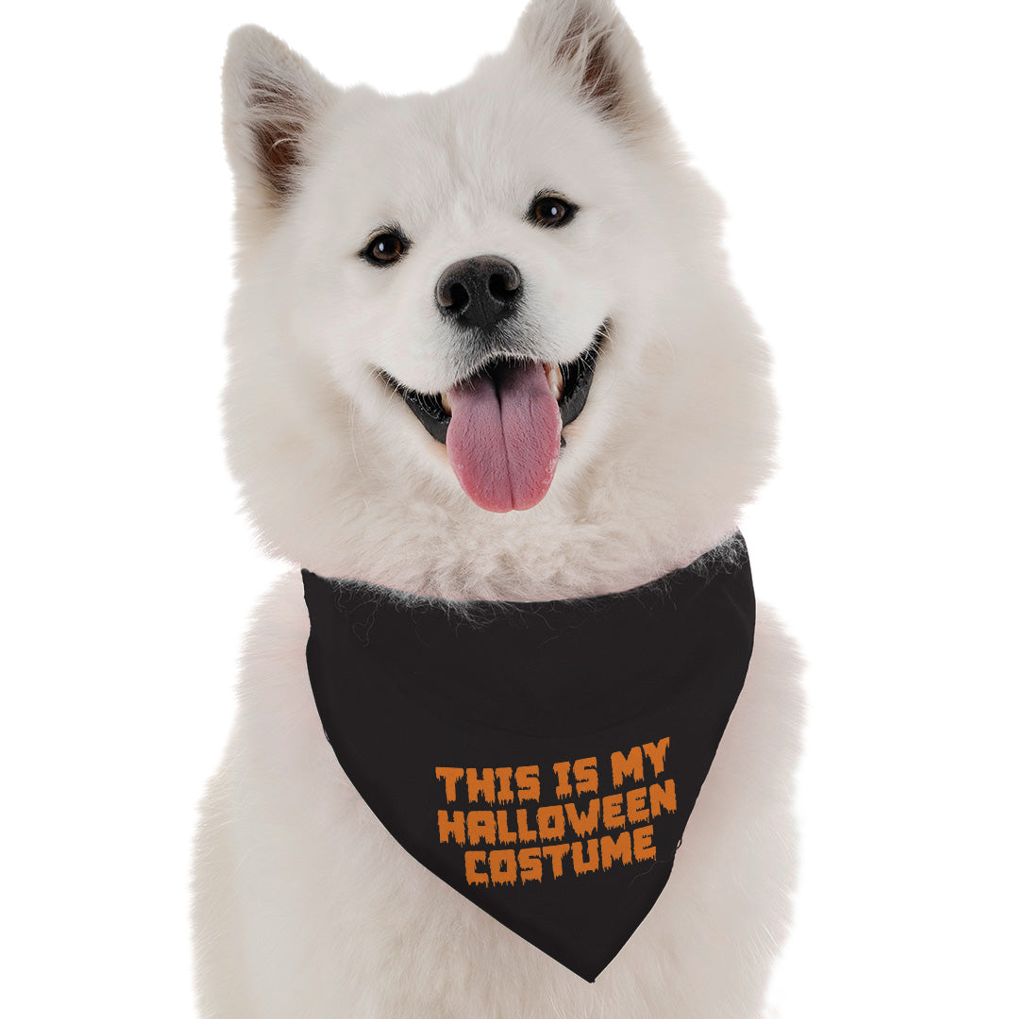 This is My Halloween Costume Image 1