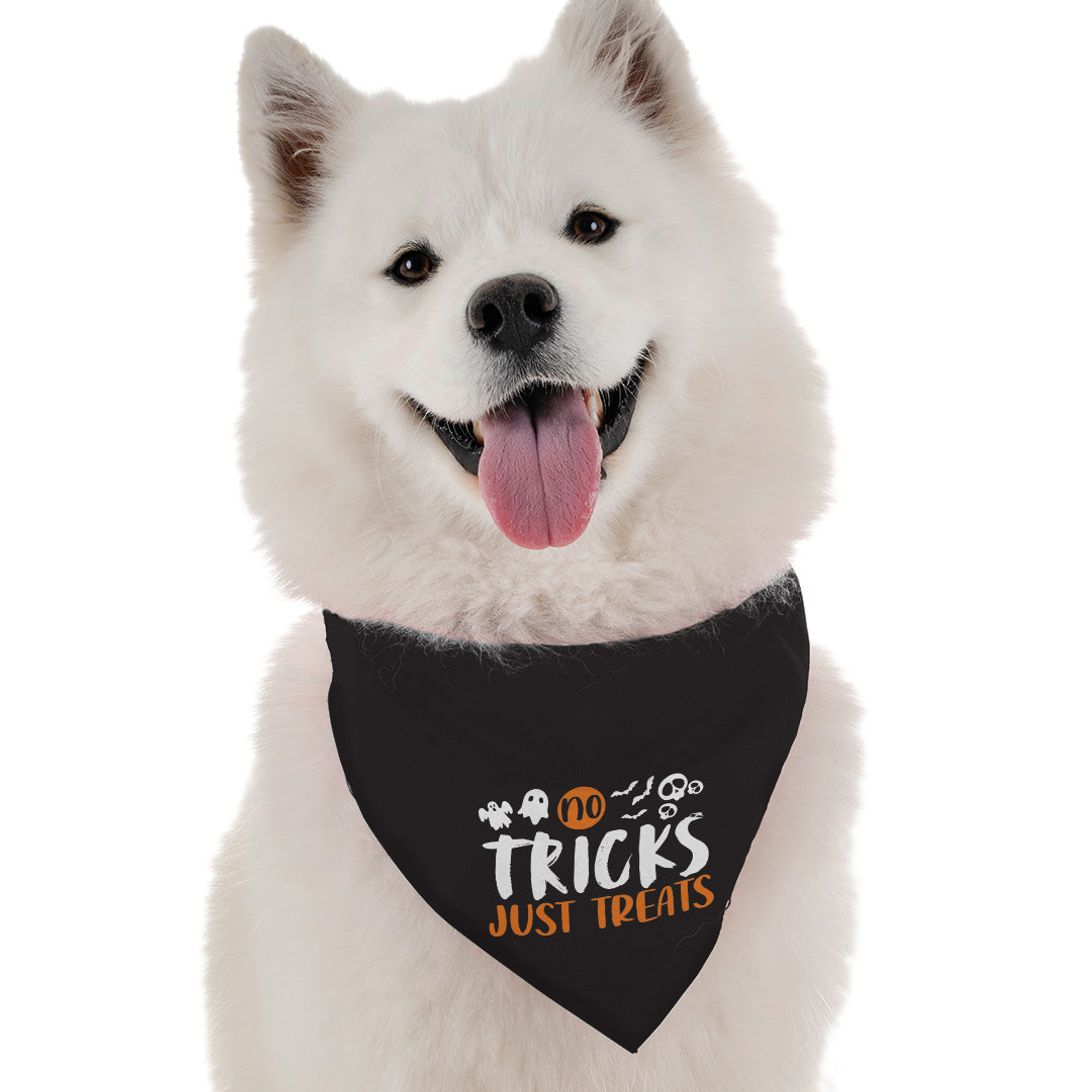 No Tricks, Just Treats Image 1