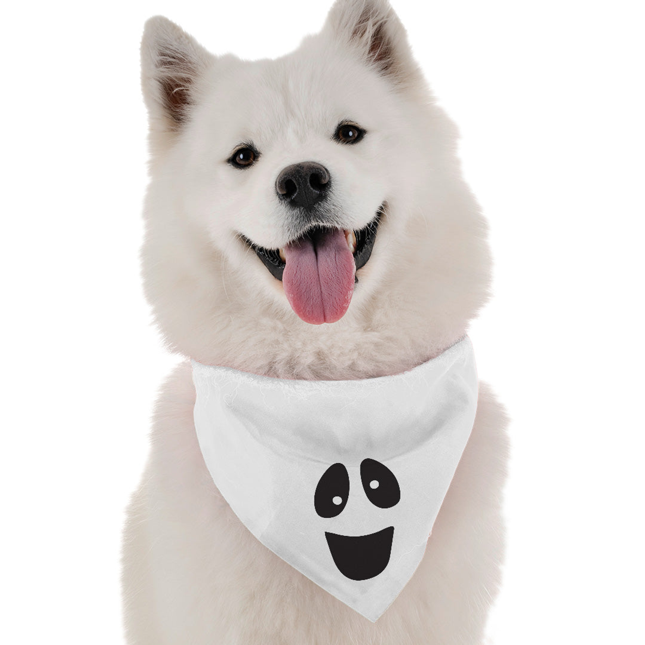 Ghost Costume Image 1
