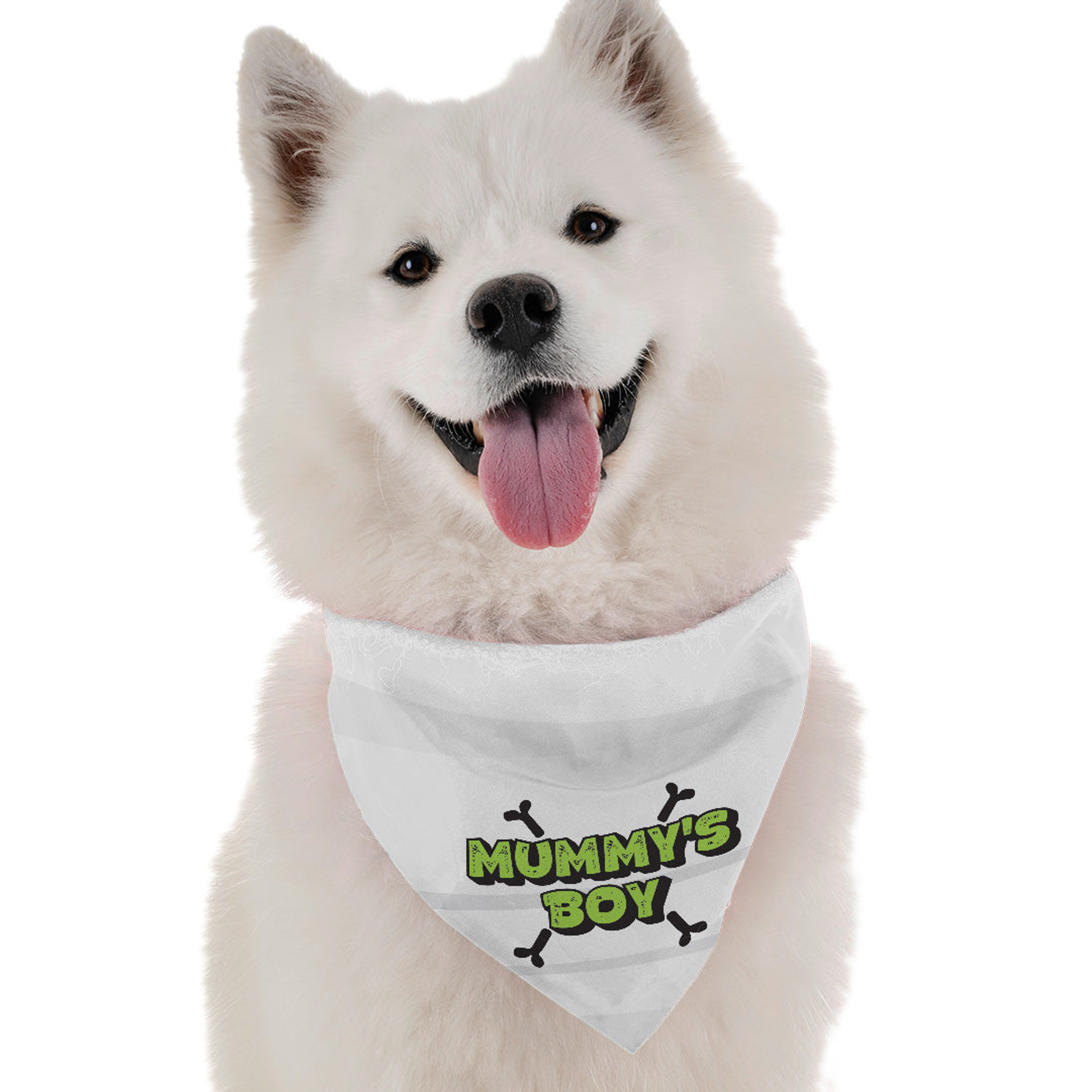 Mummy's Boy Image 1