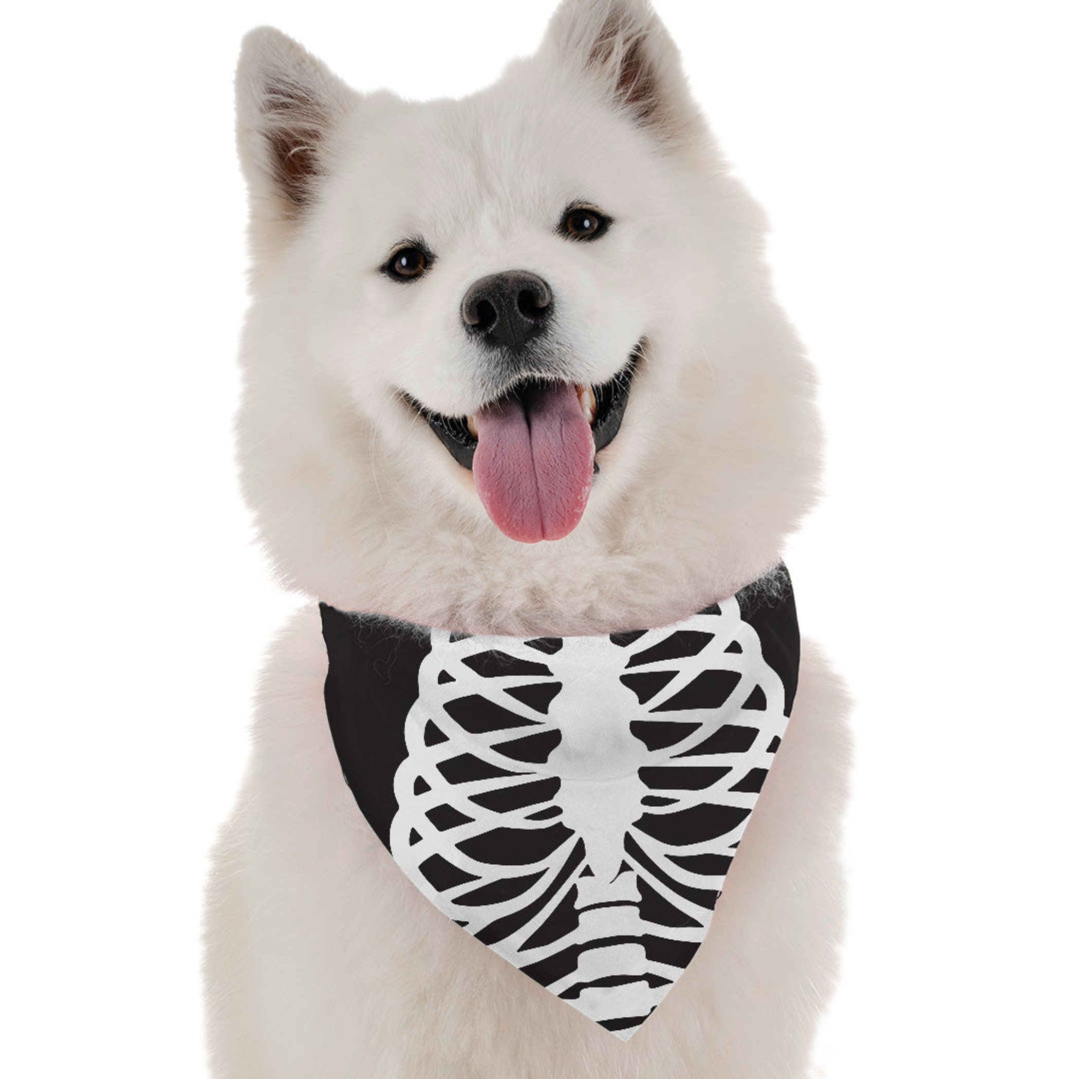 Skeleton Costume Image 1