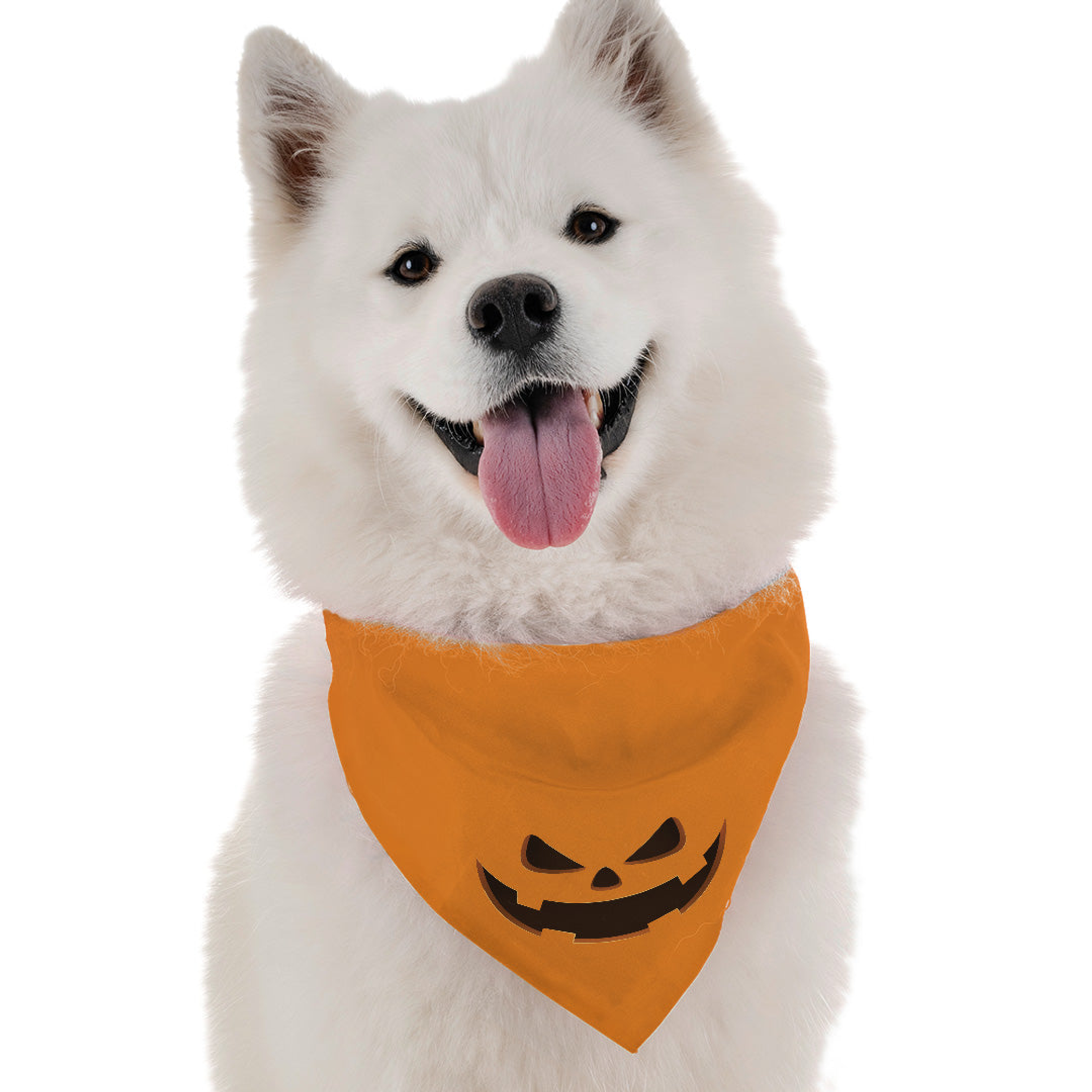 Jack-O-Lantern Image 1