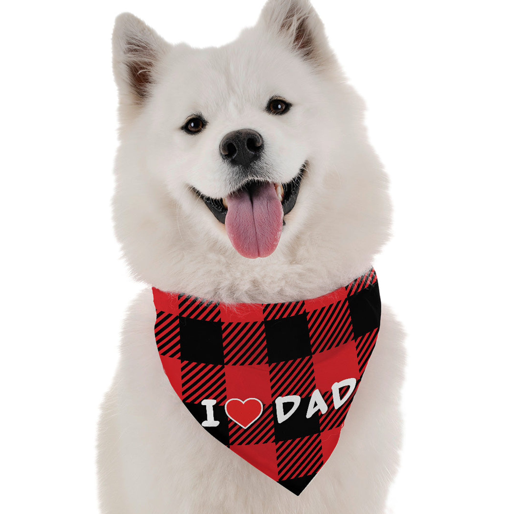 I Love Dad Image 1