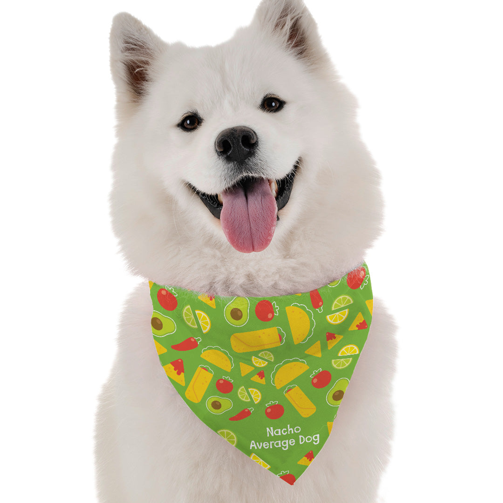 Nacho Average Dog Image 1