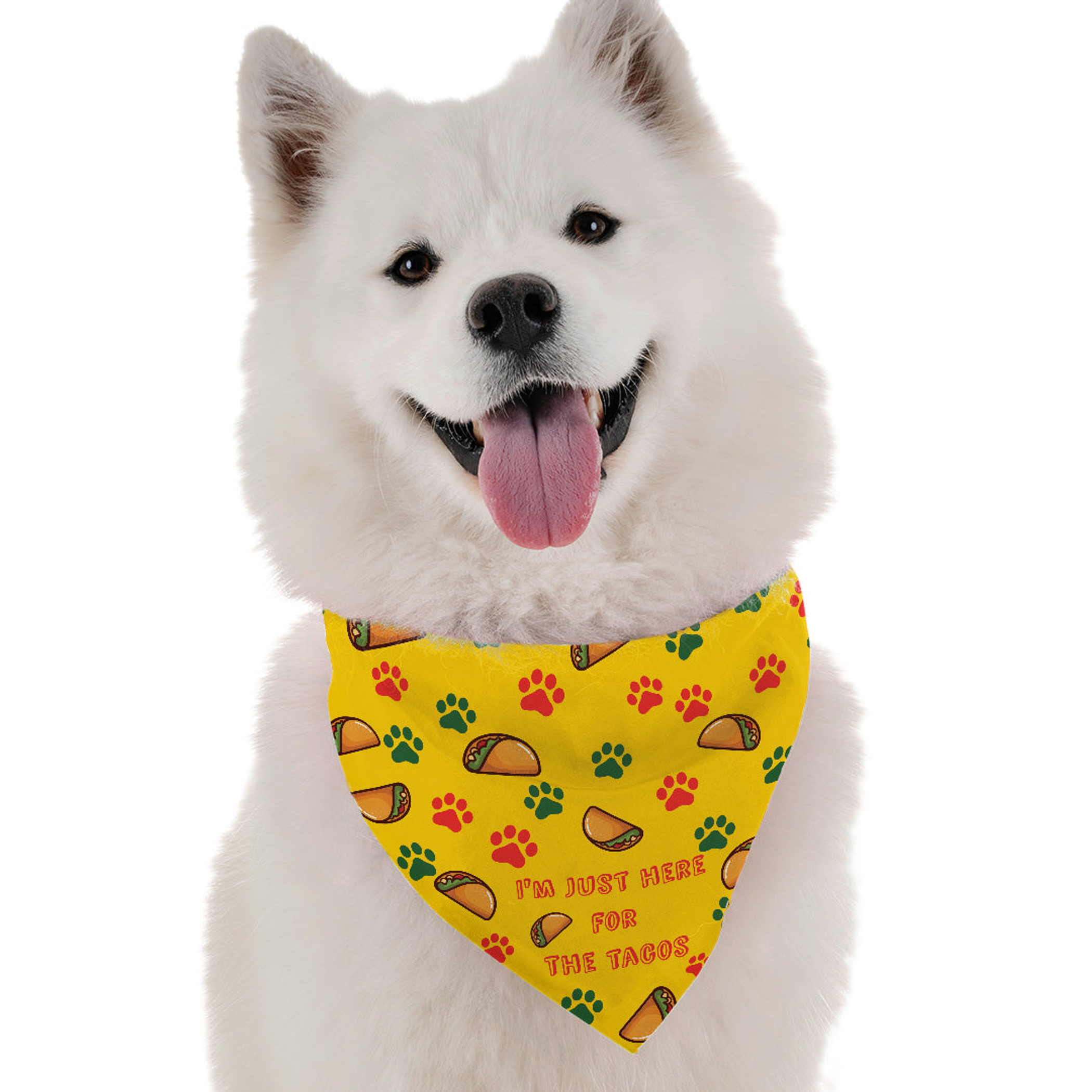 I'm Just Here for the Tacos Image 1