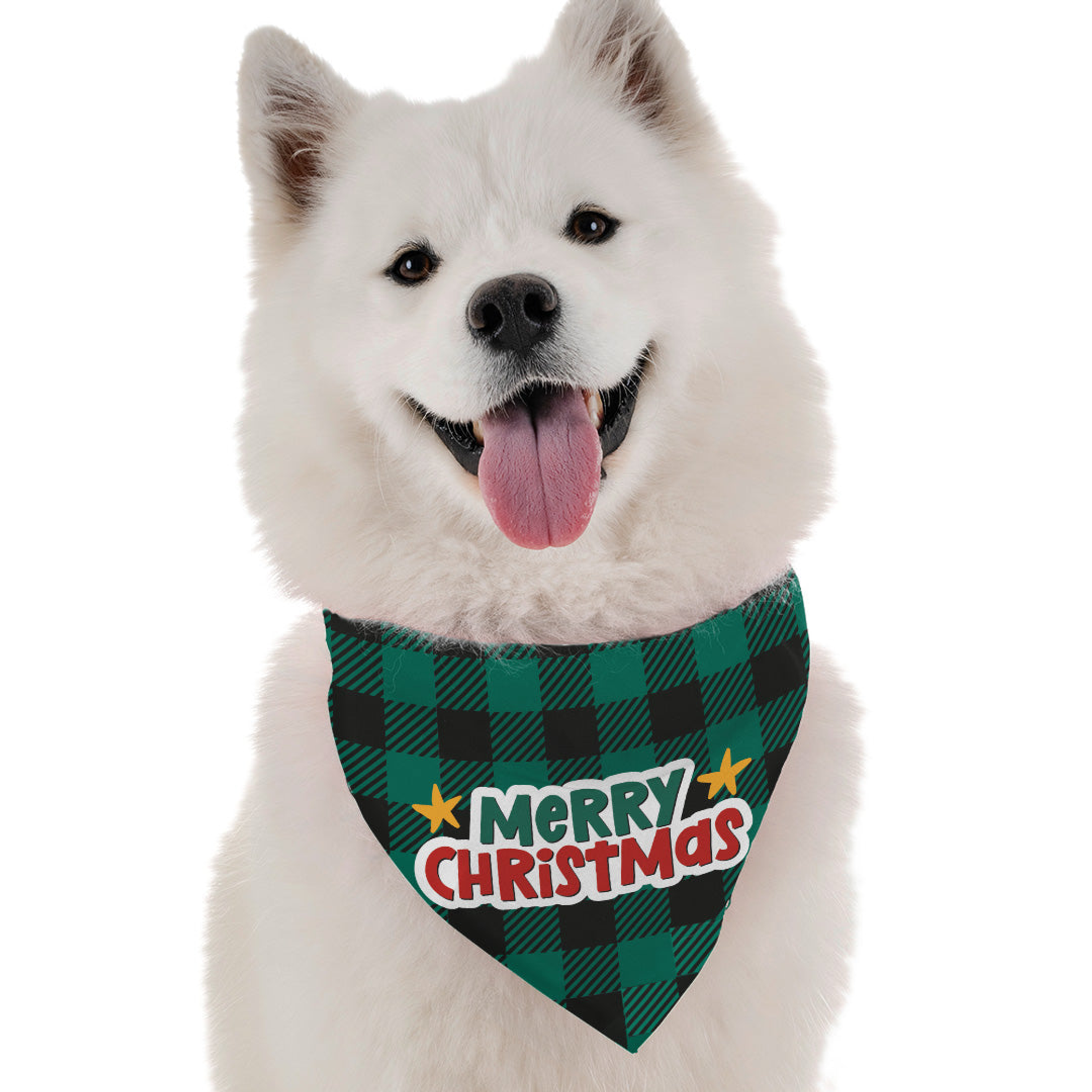 Merry Christmas  - 2 Image 1