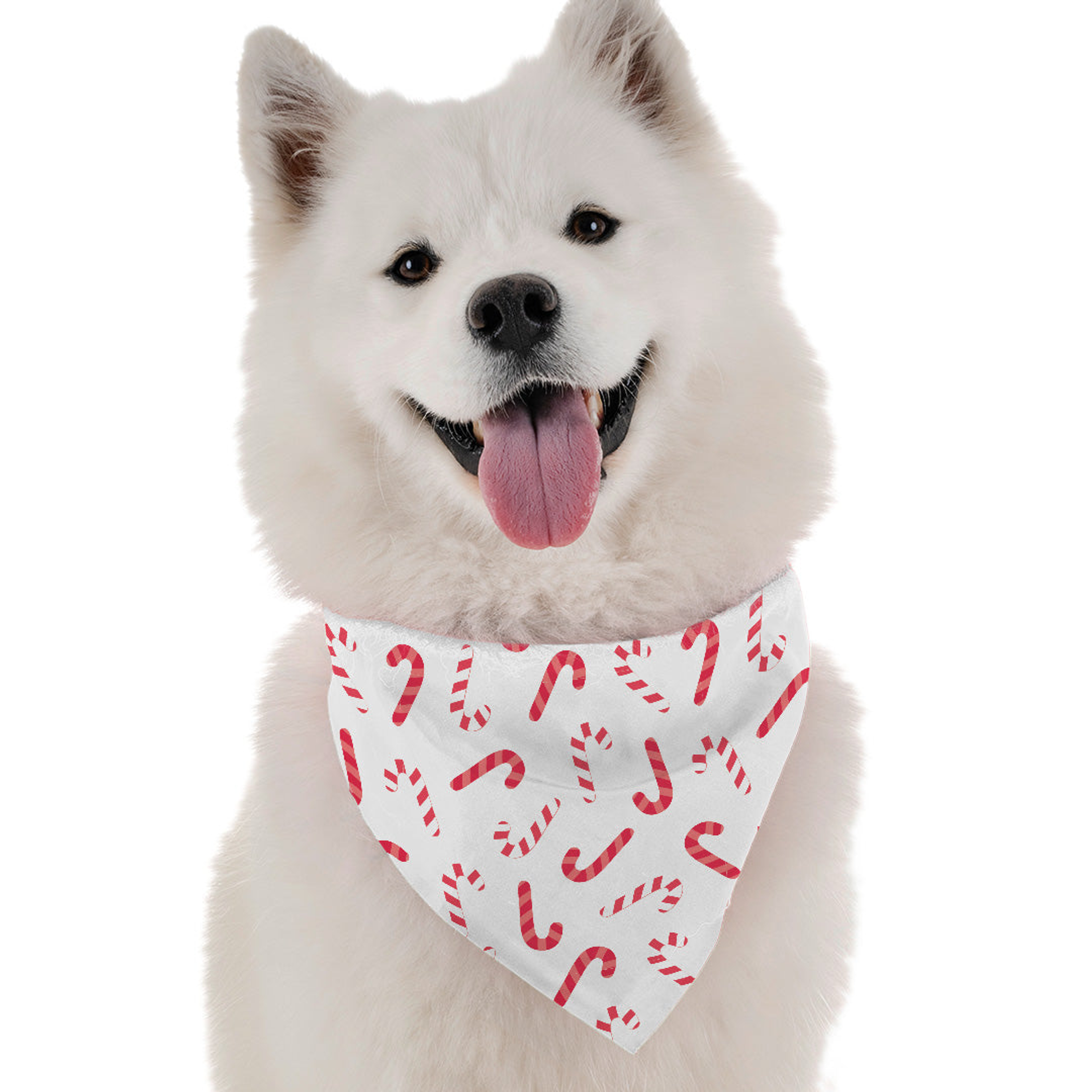 Candy Canes Image 1