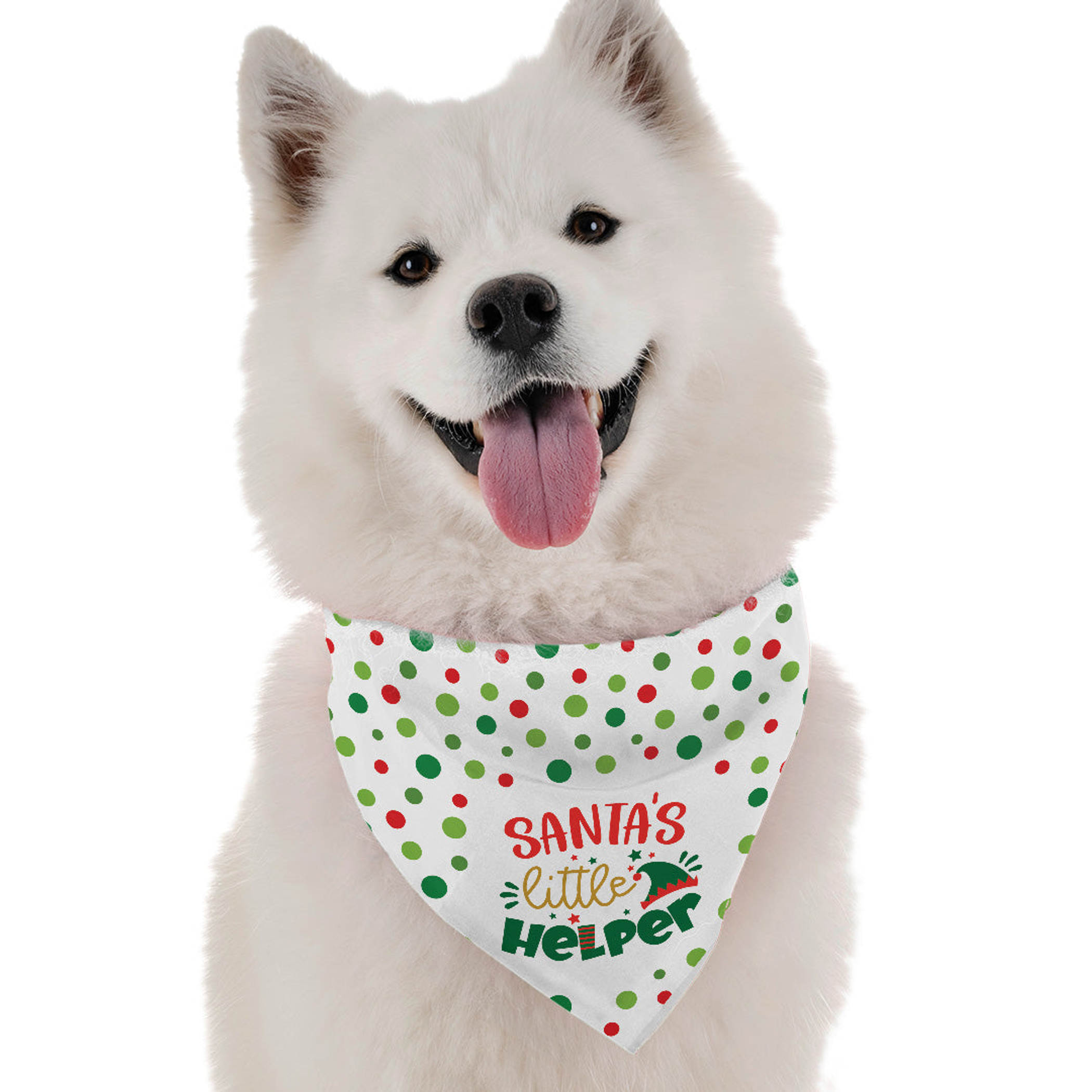 Santa's Little Helper Image 1