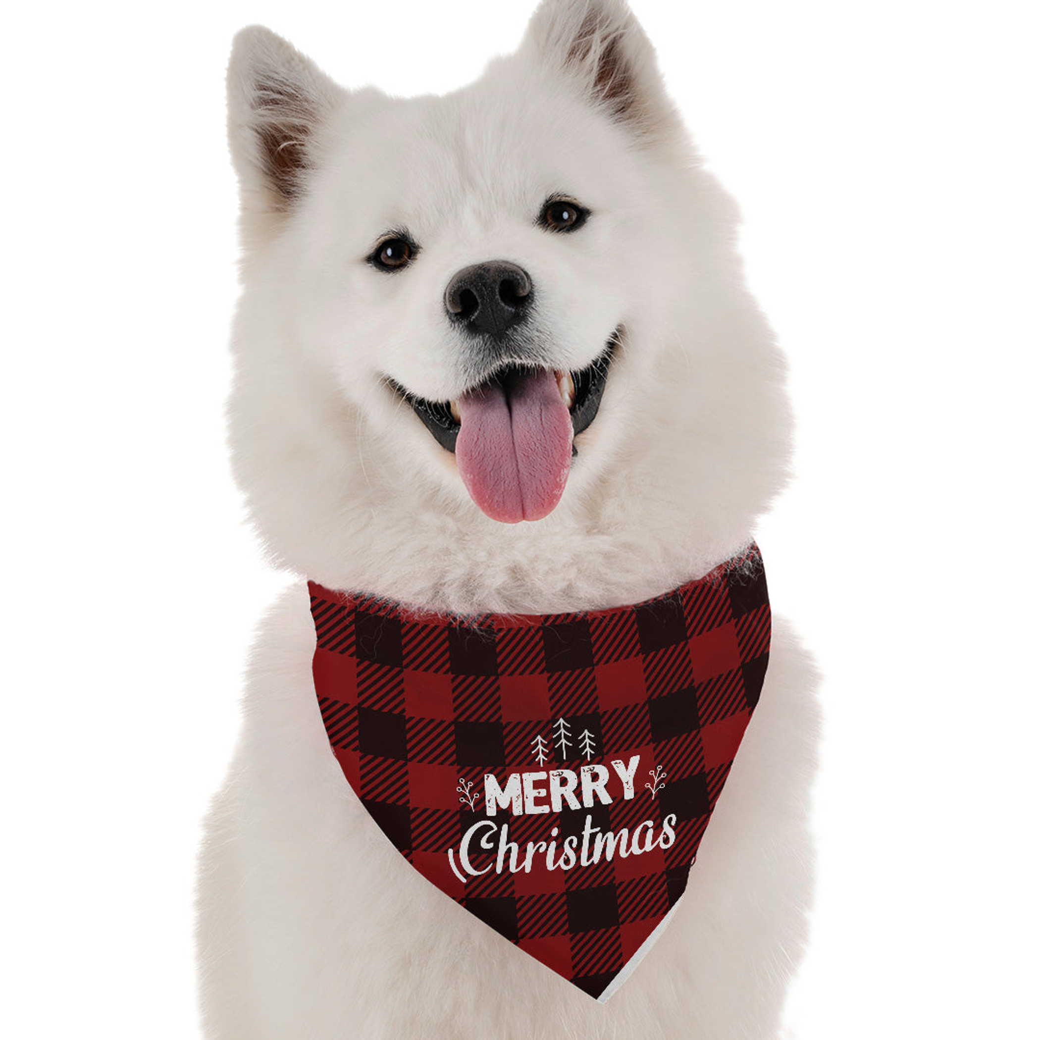 Merry Christmas Image 1