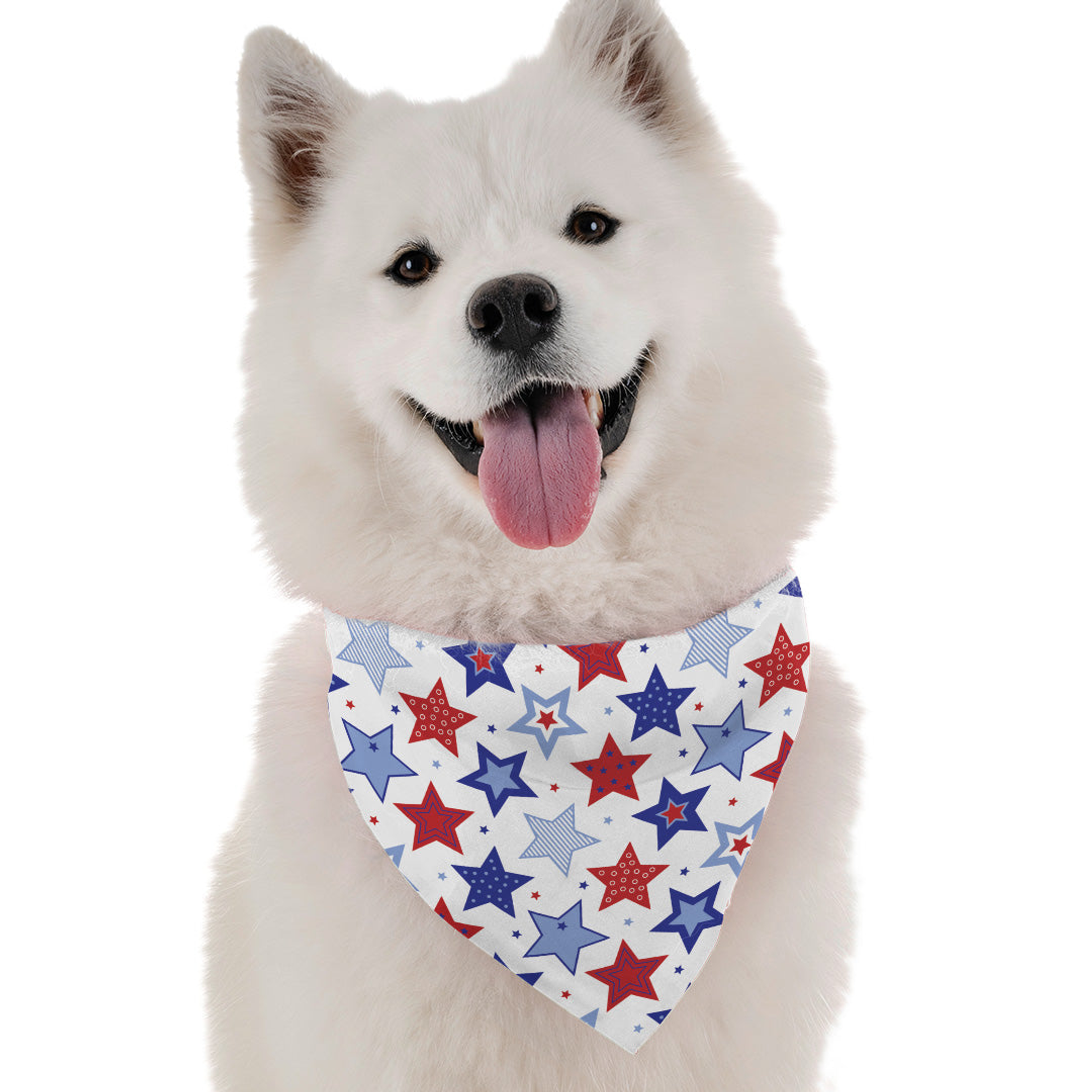 PAWtriotic Image 1