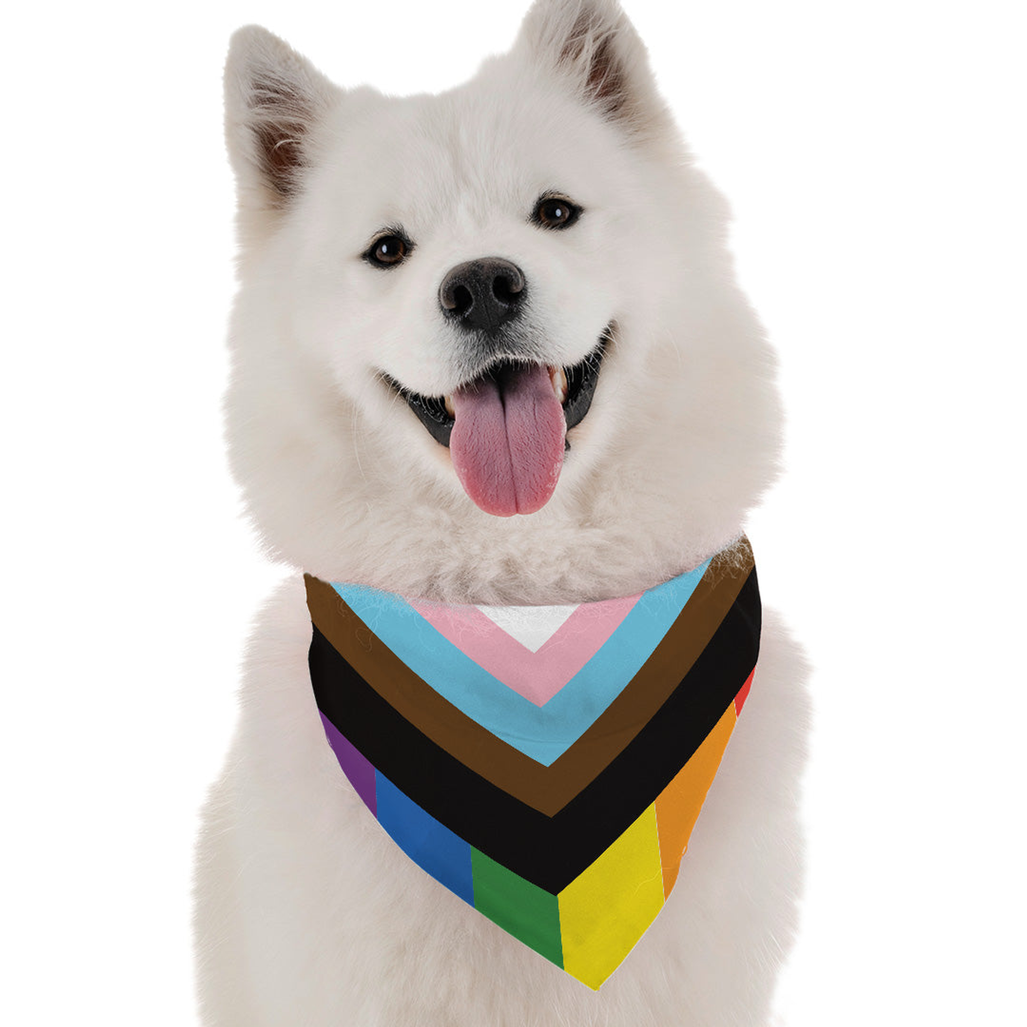 Progress Pride Image 1