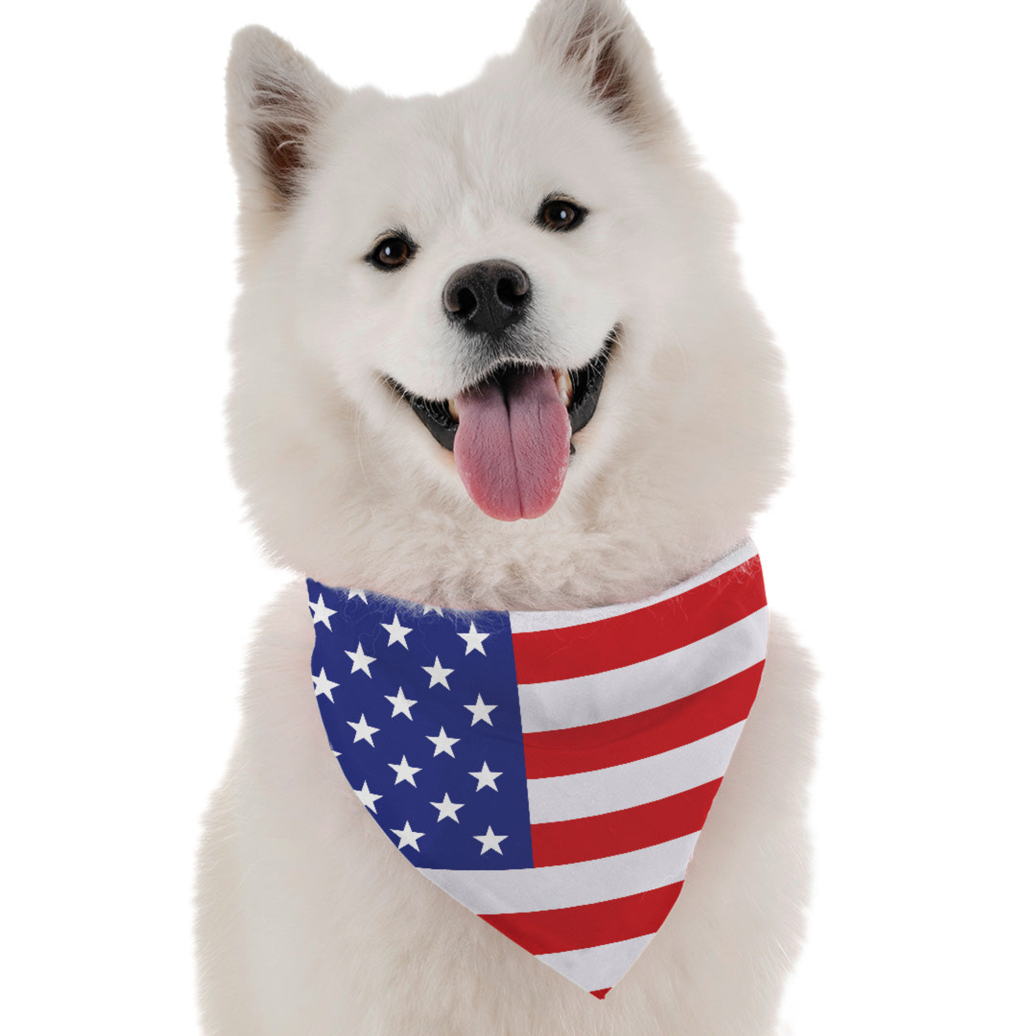 All American Image 1