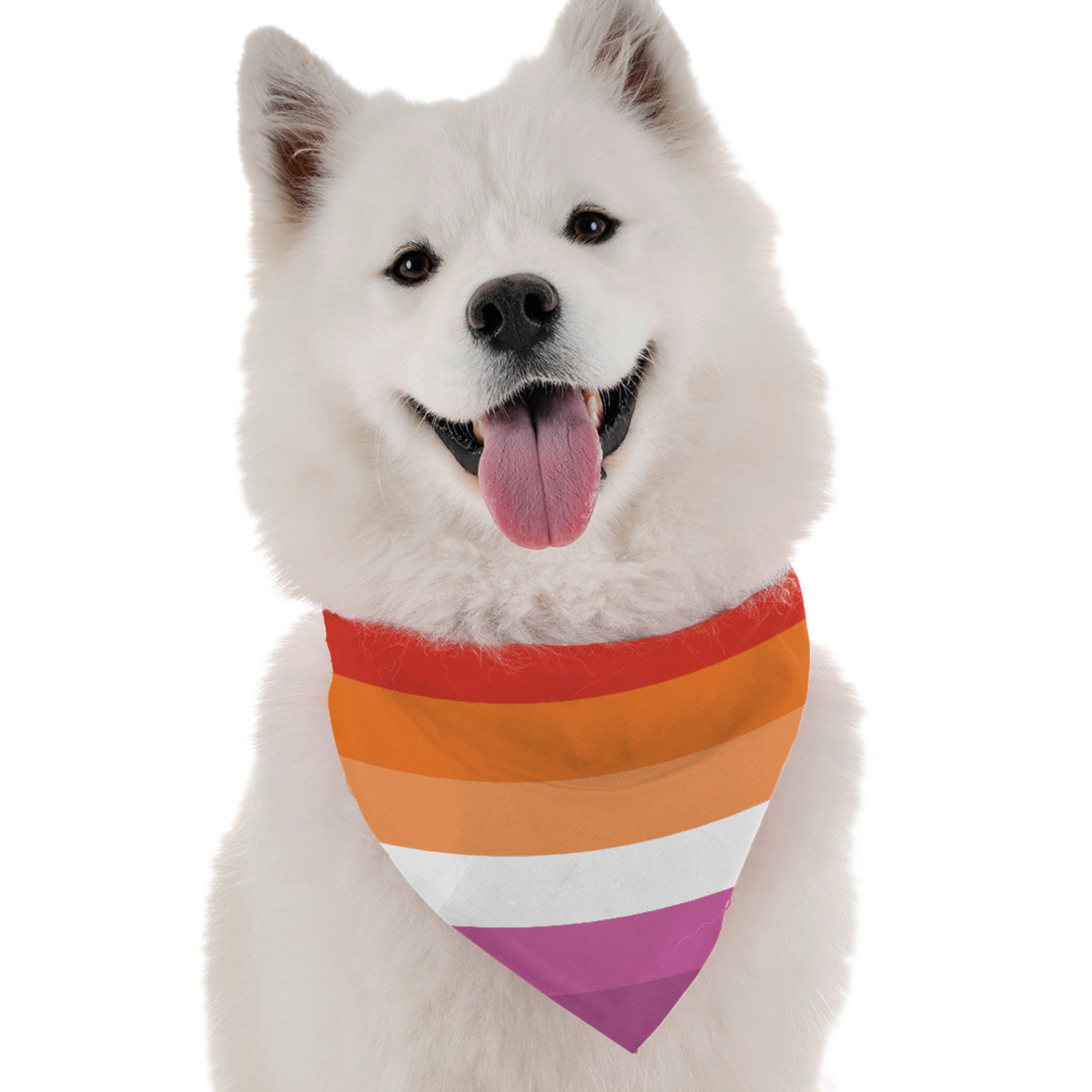 Lesbian Pride Image 1