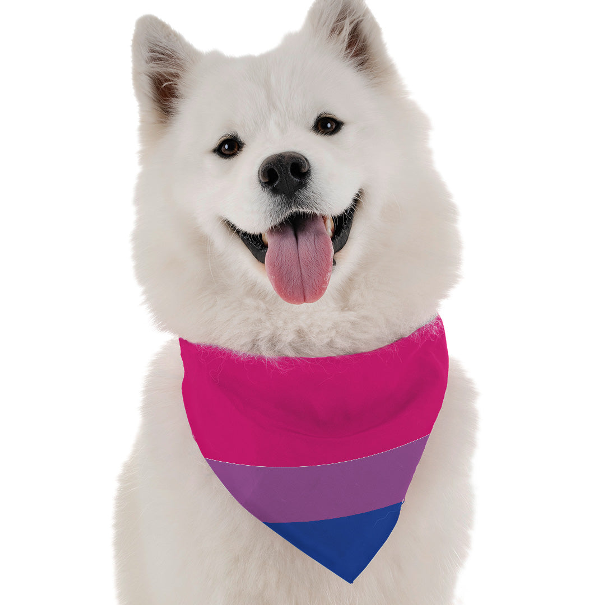Bi Pride Image 1