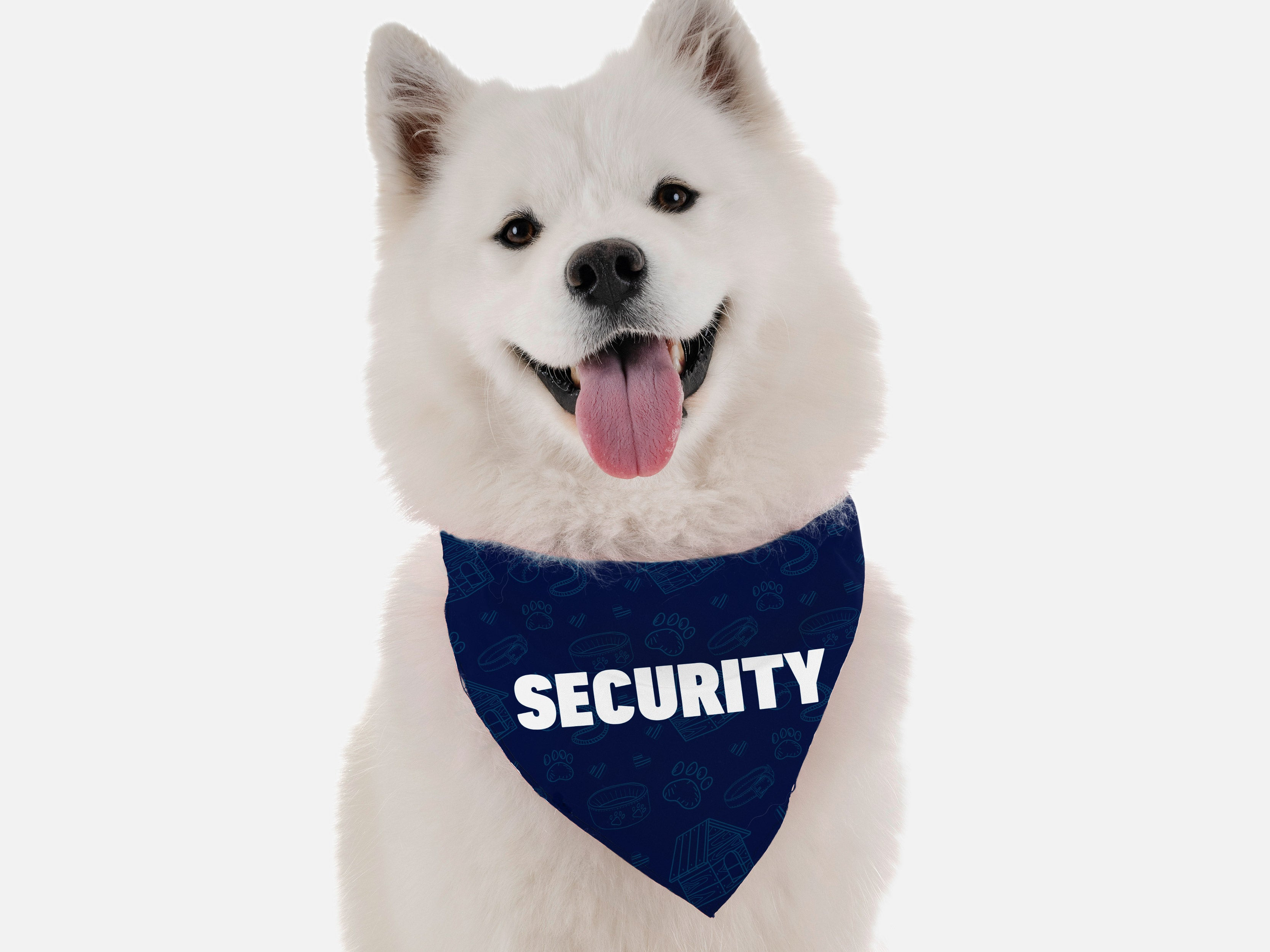 Security Image 1