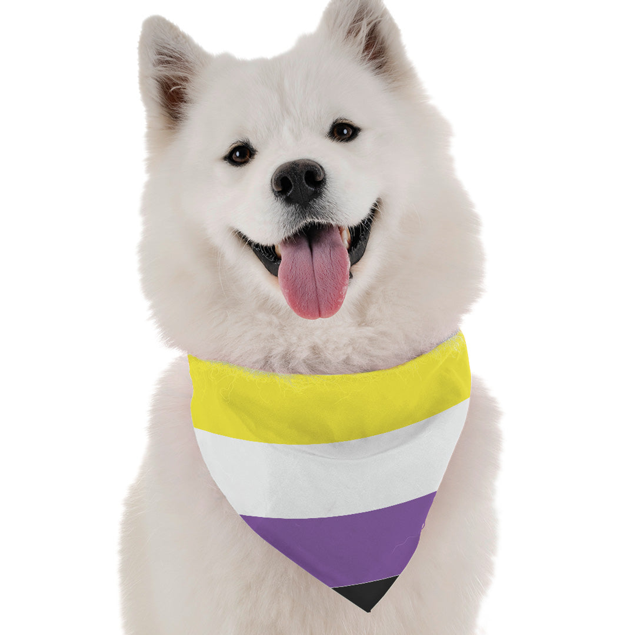 Non Binary Pride Image 1