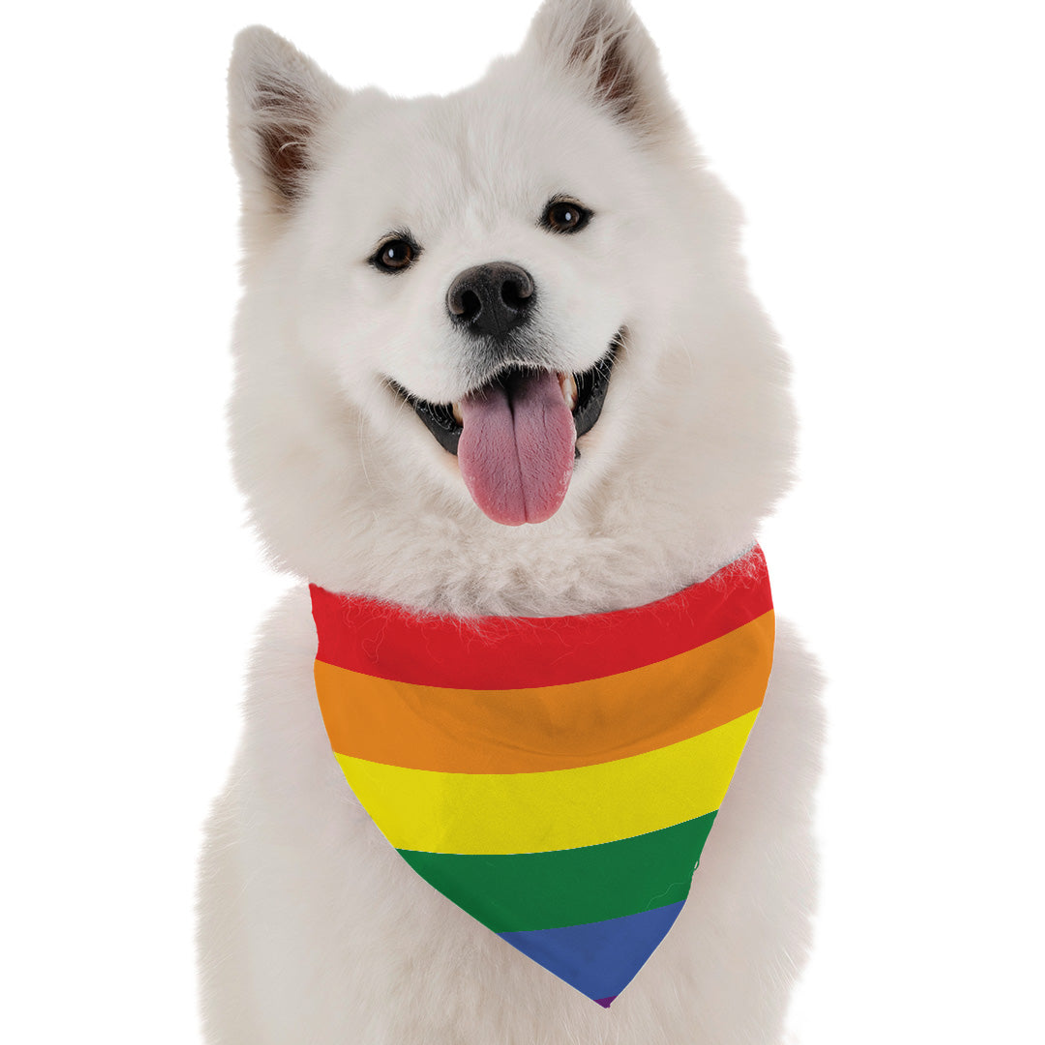 Pride Image 1