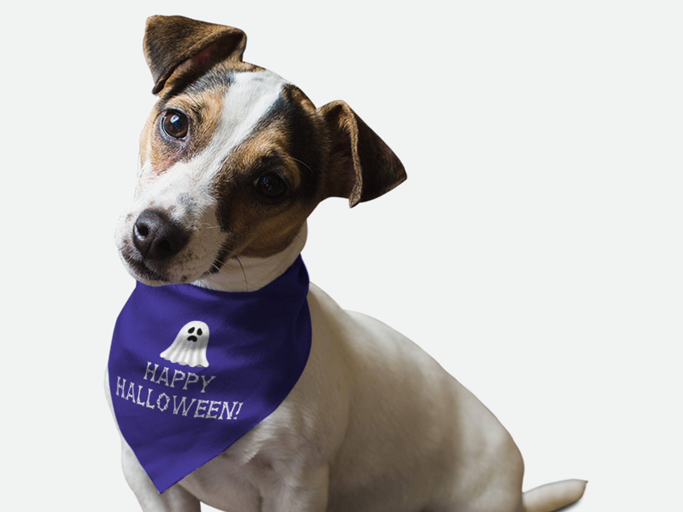 Happy Halloween! Image 1