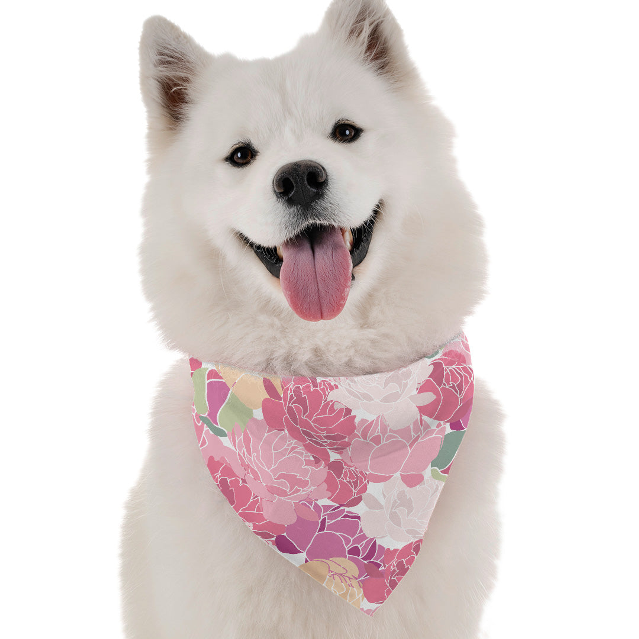 Florals Image 1