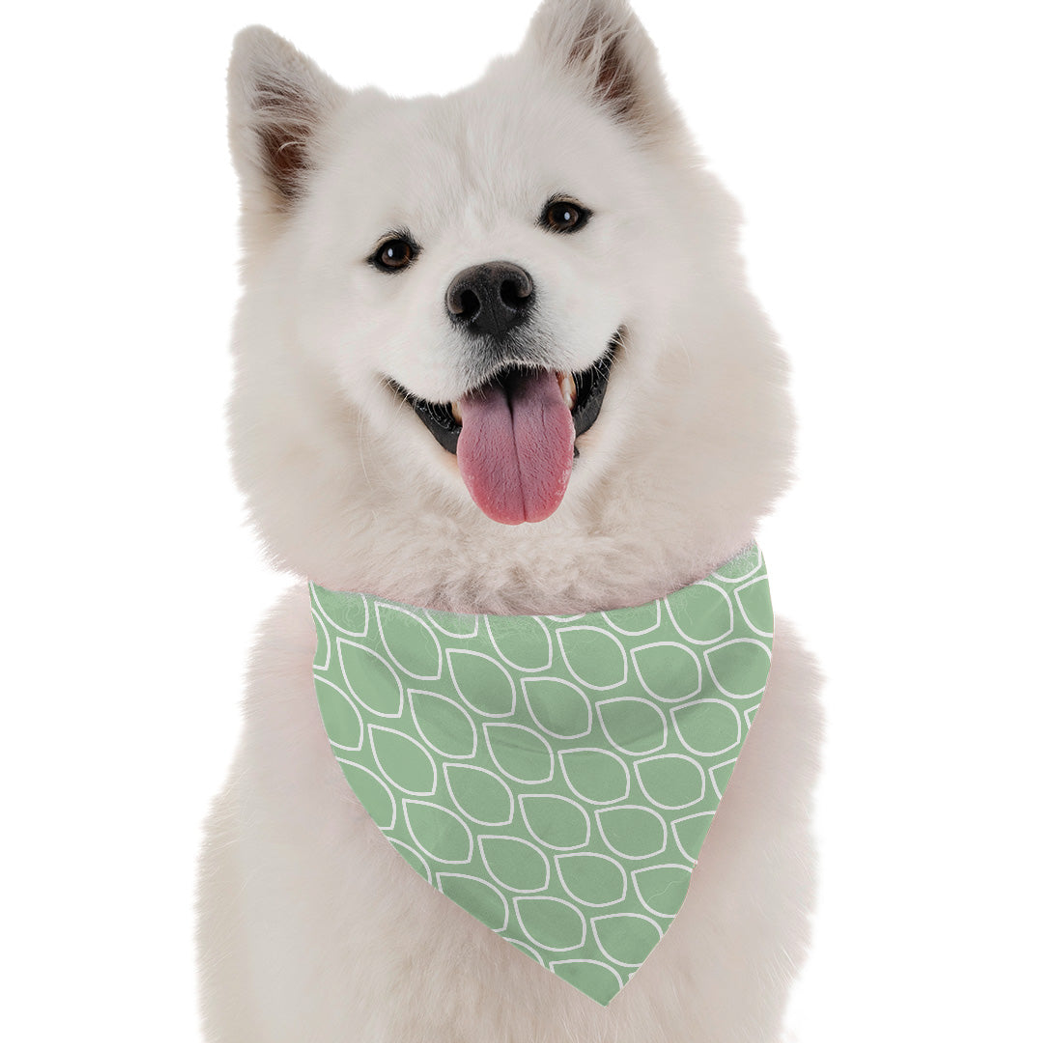 Mint Image 1