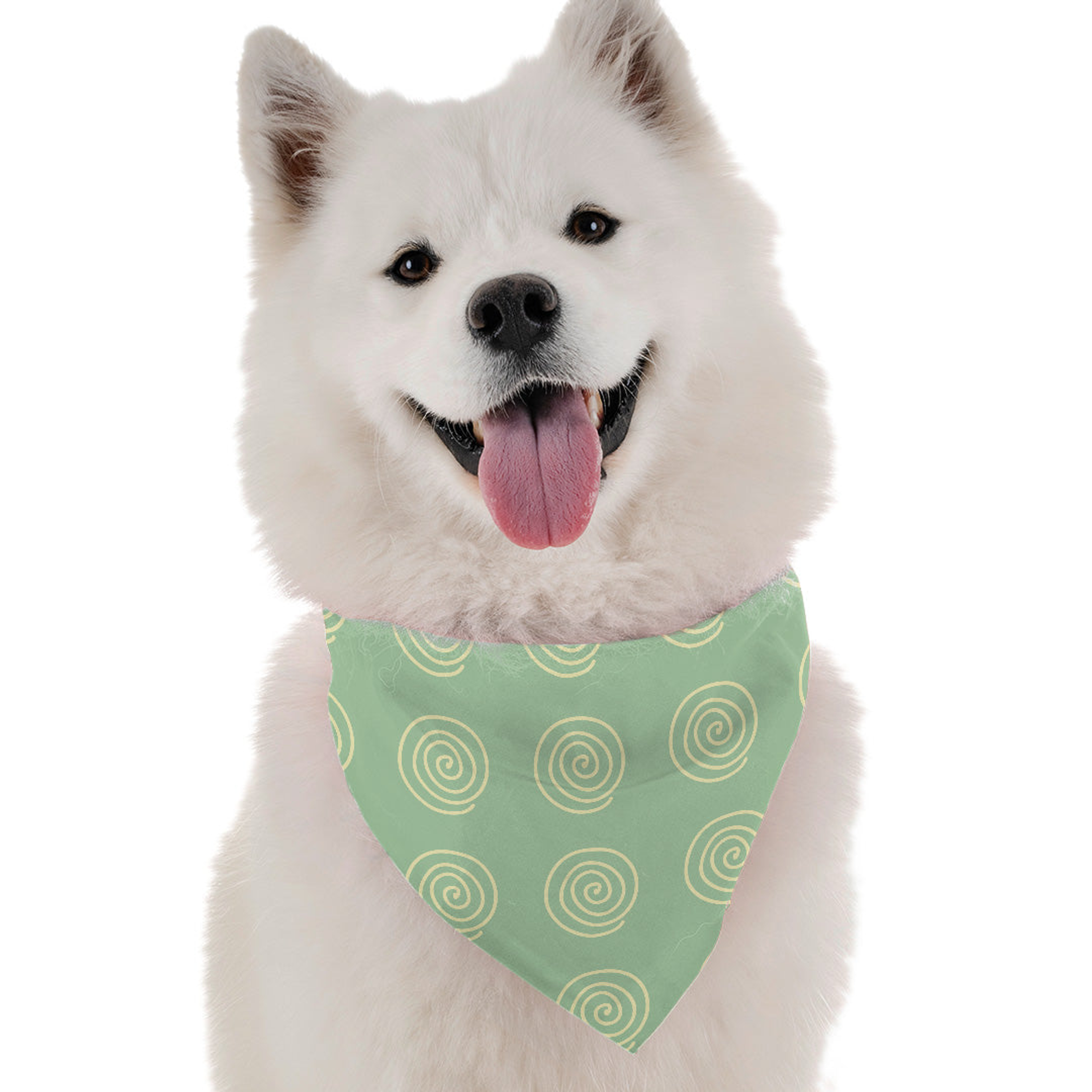 Julep Image 1