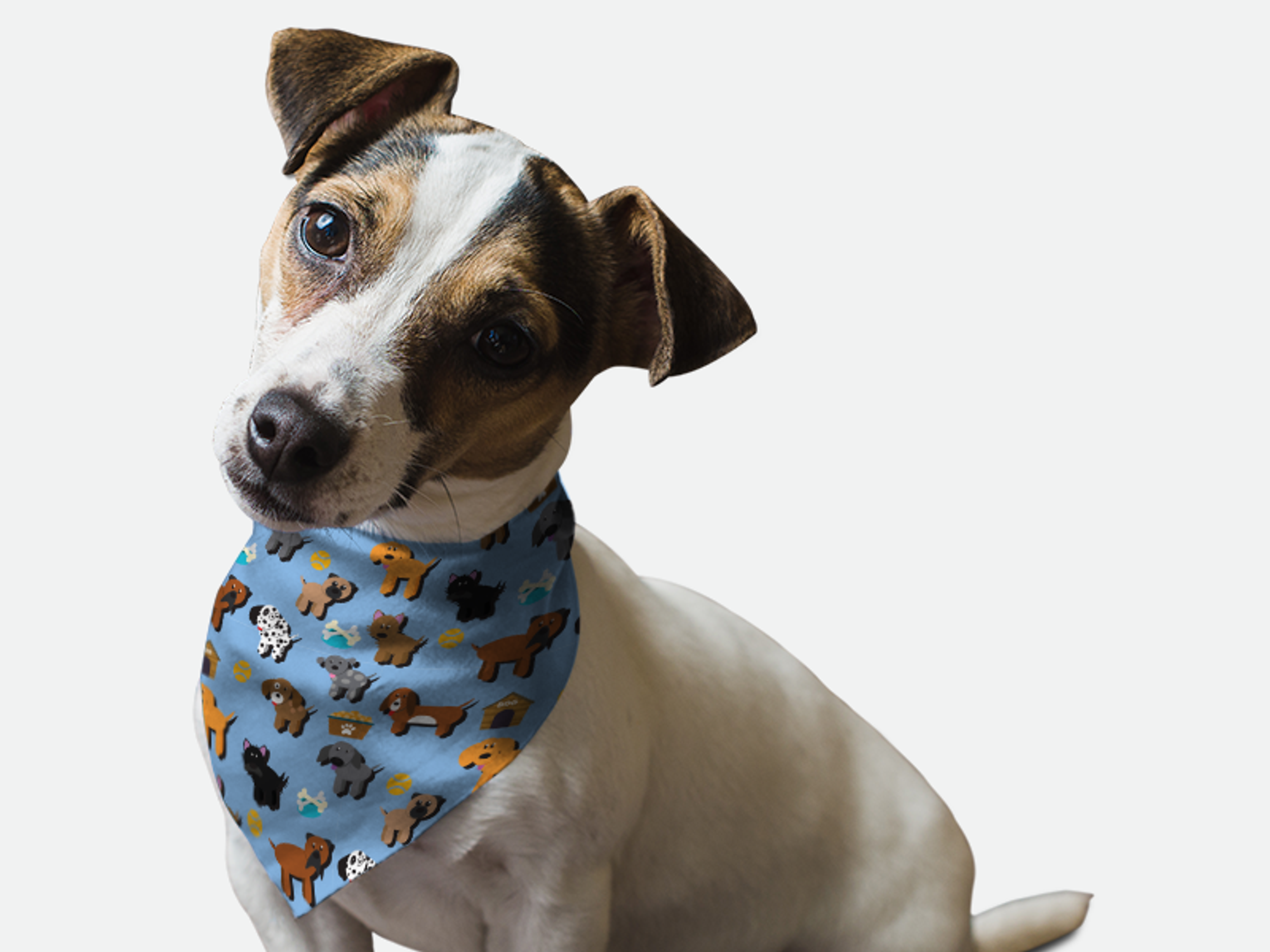 Pup Pals Image 1