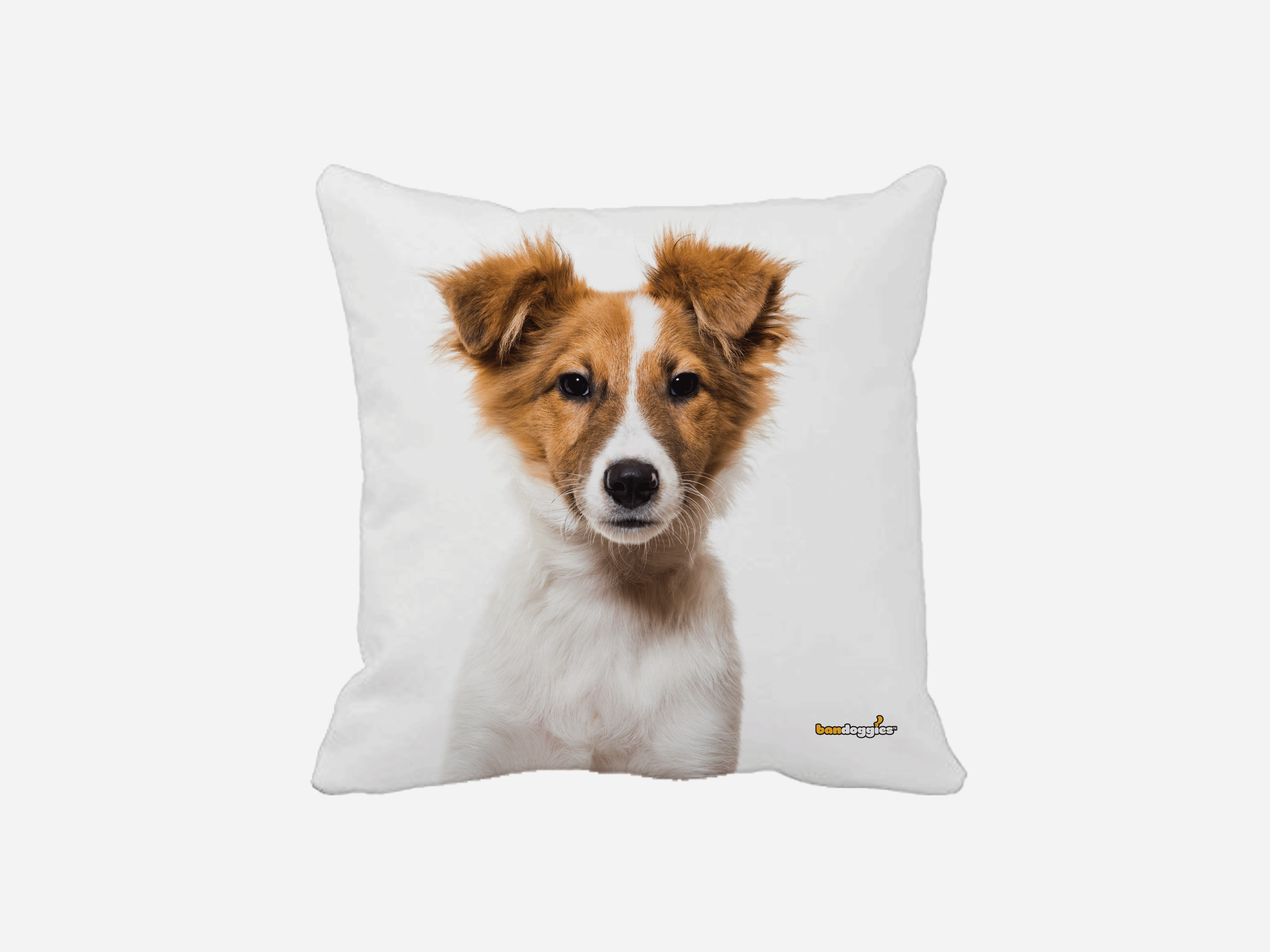 Australian Shepard Puppy Throw Pillow Image 1