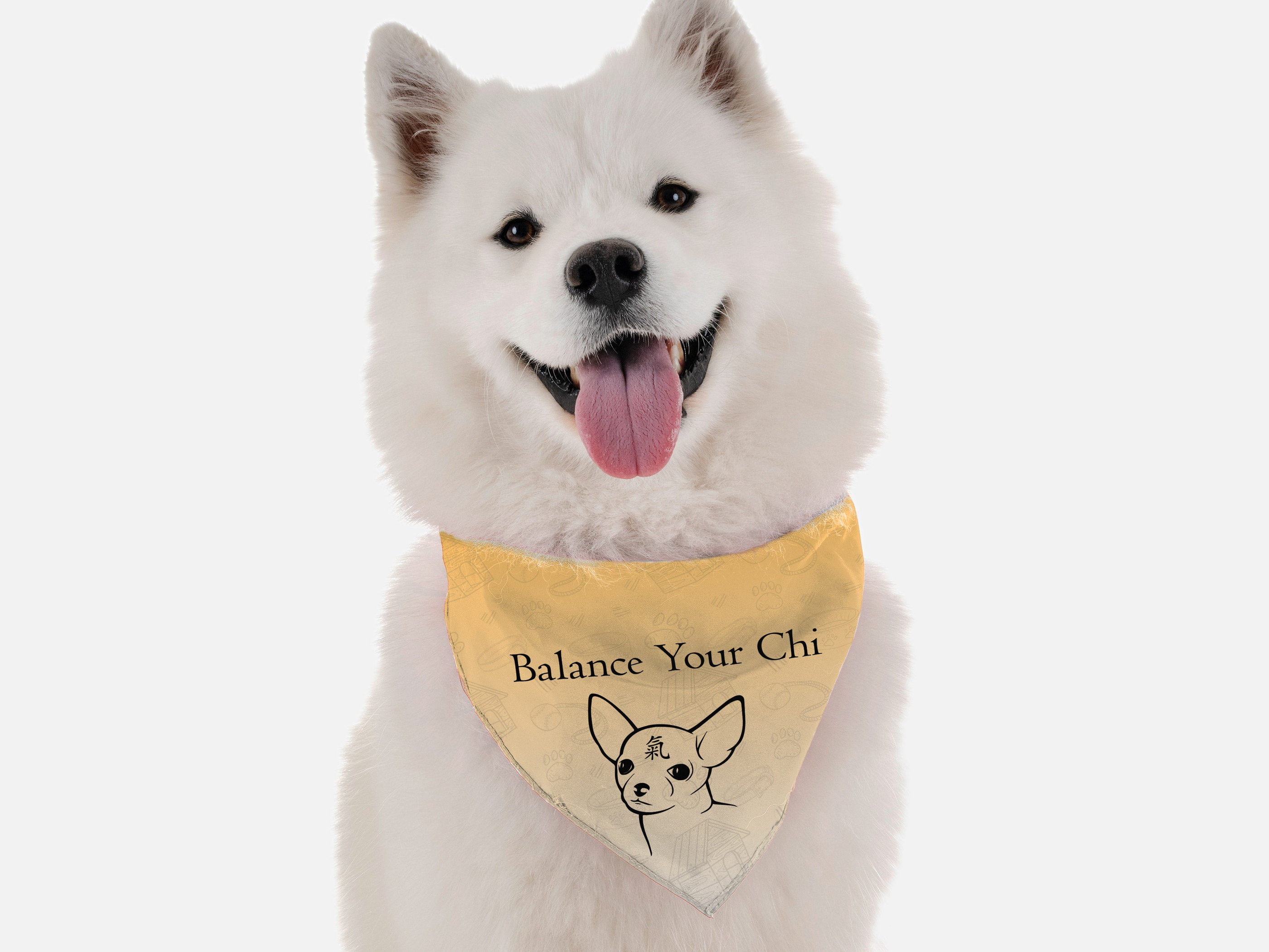 Balance Your Chi Image 1