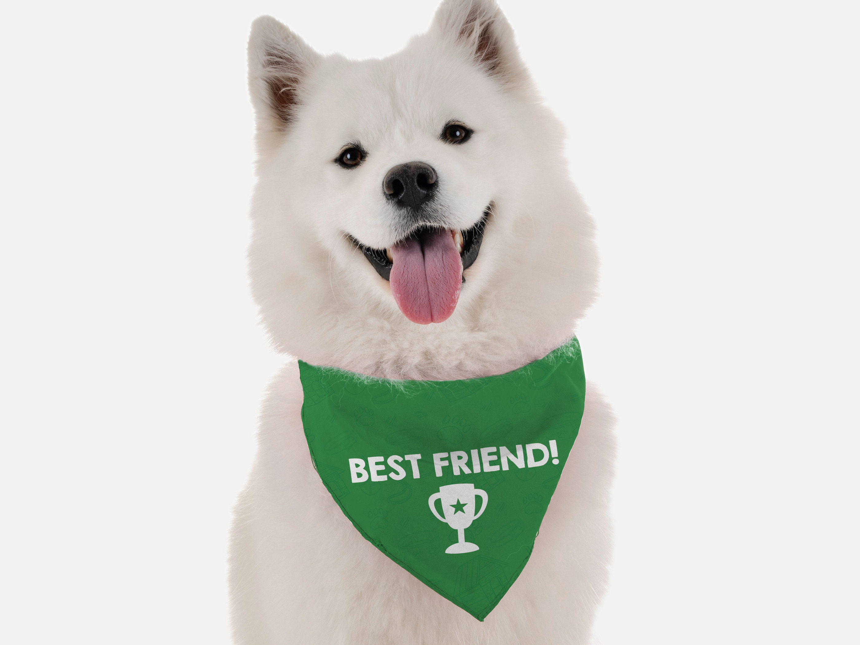 Best Friend Image 1