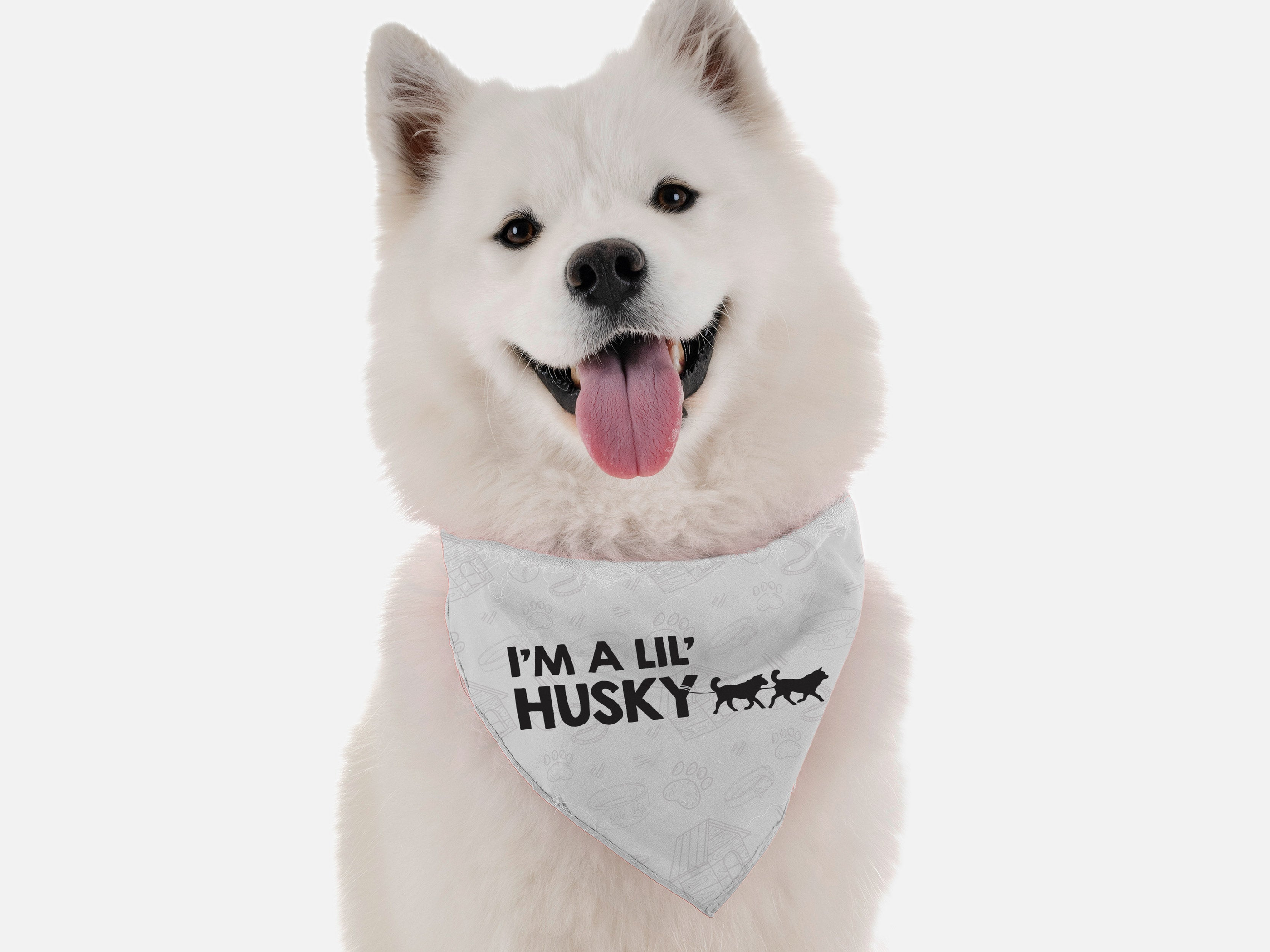 I'm a lil' Husky Image 1