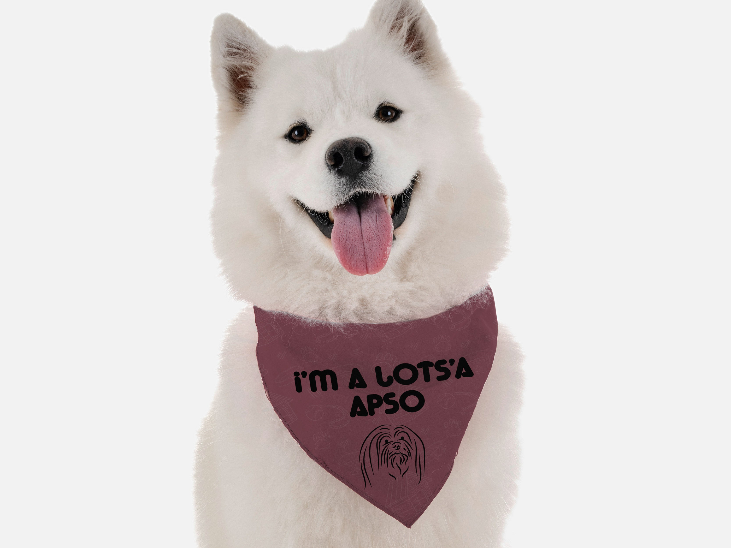 I'm a Lots'a Apso Image 1