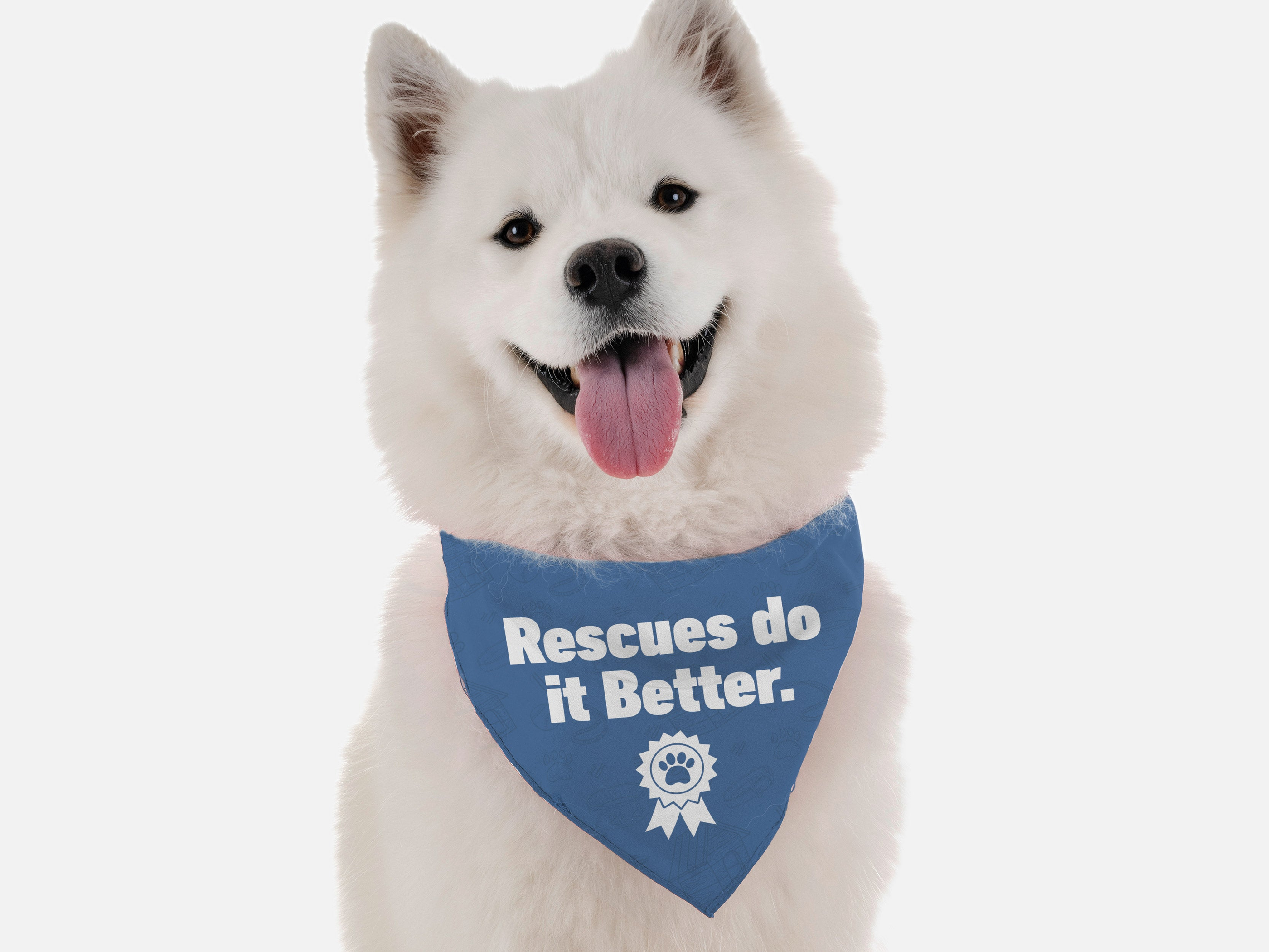 Rescues Do it Better Image 1