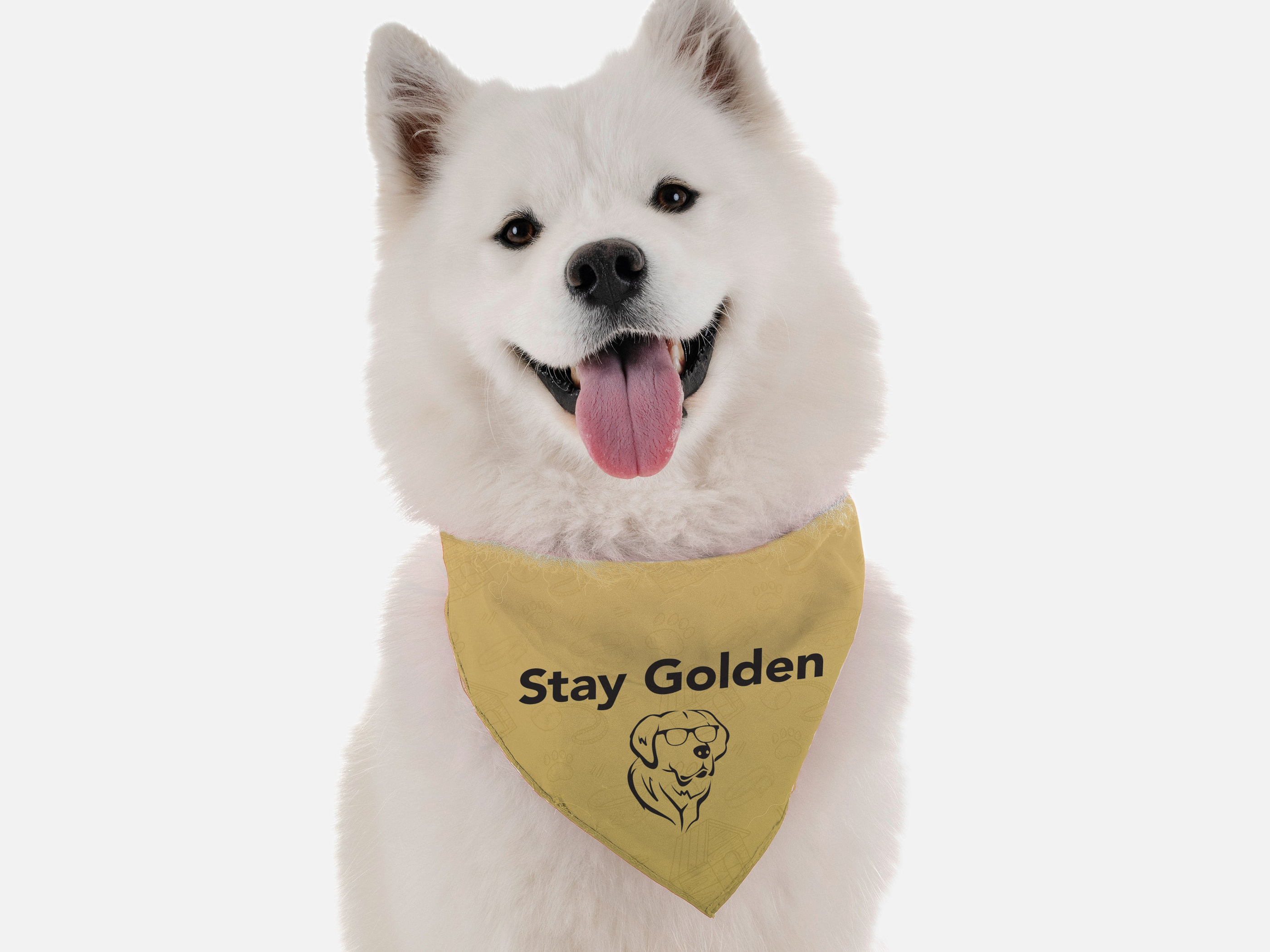 Stay Golden Image 1
