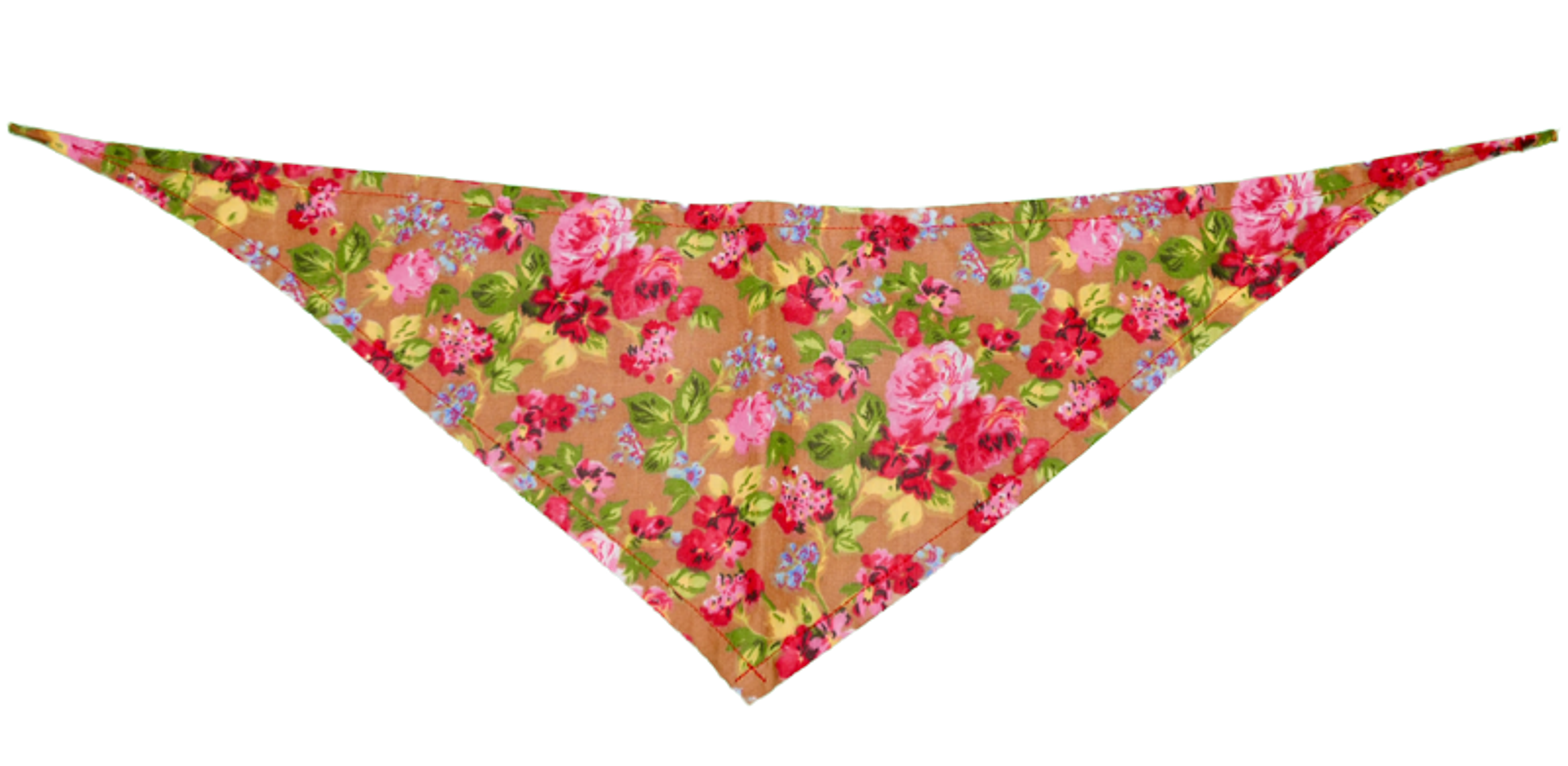 GG129FB Sand|Pets Ribbons Image 1