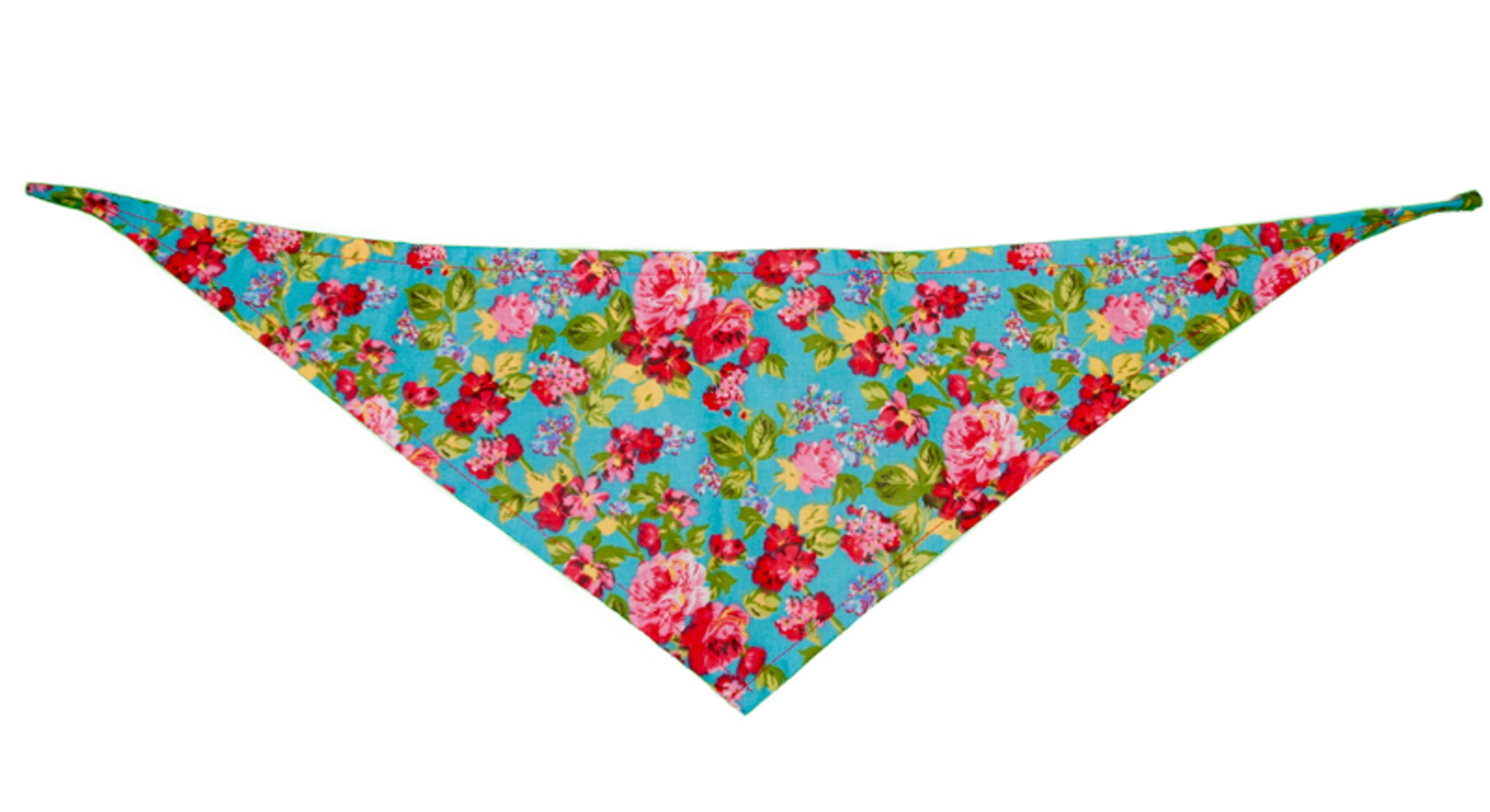 GG129FB Marine|Pets Ribbons Image 1