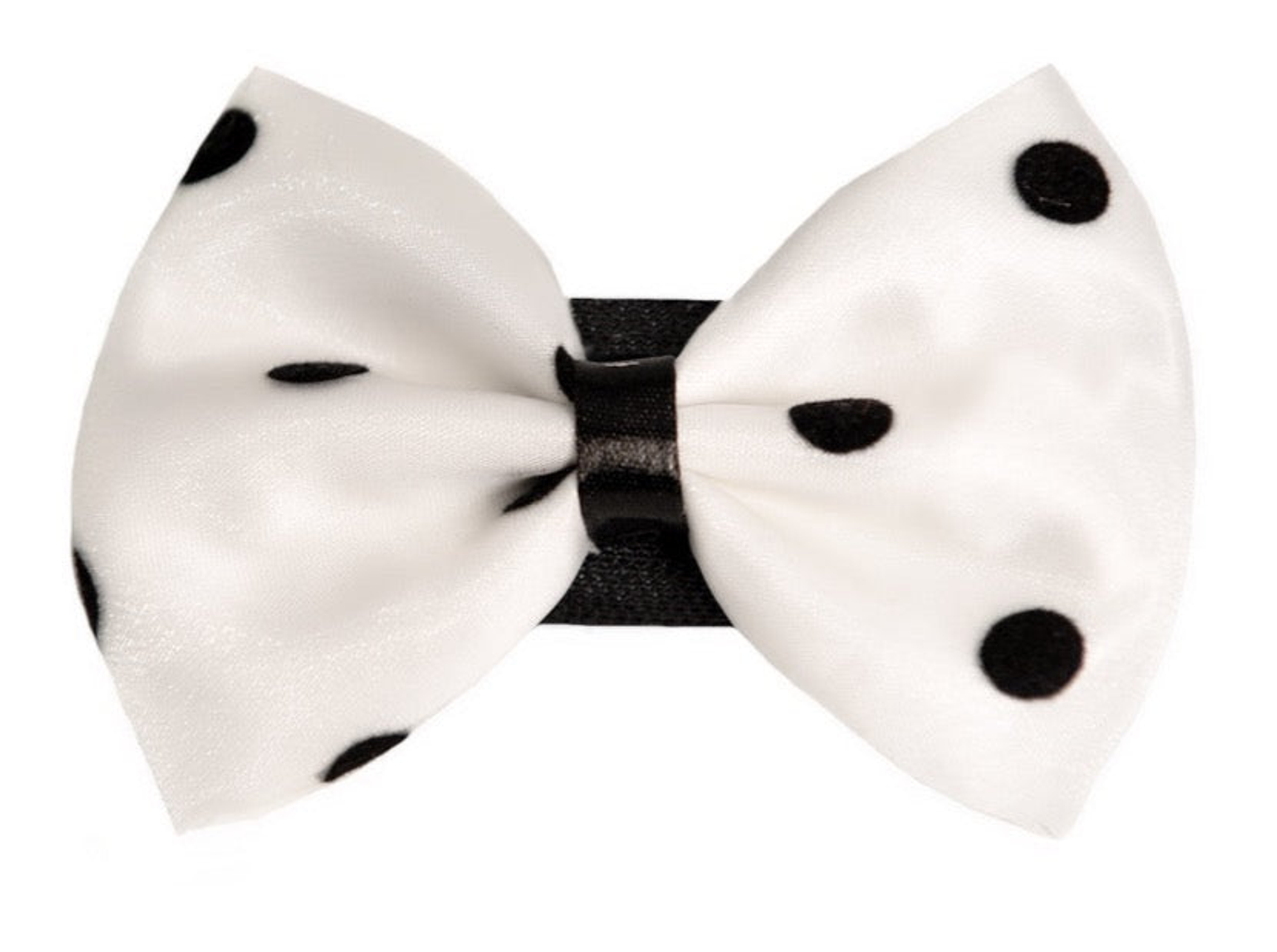 PR1001|Pets Ribbons Image 1