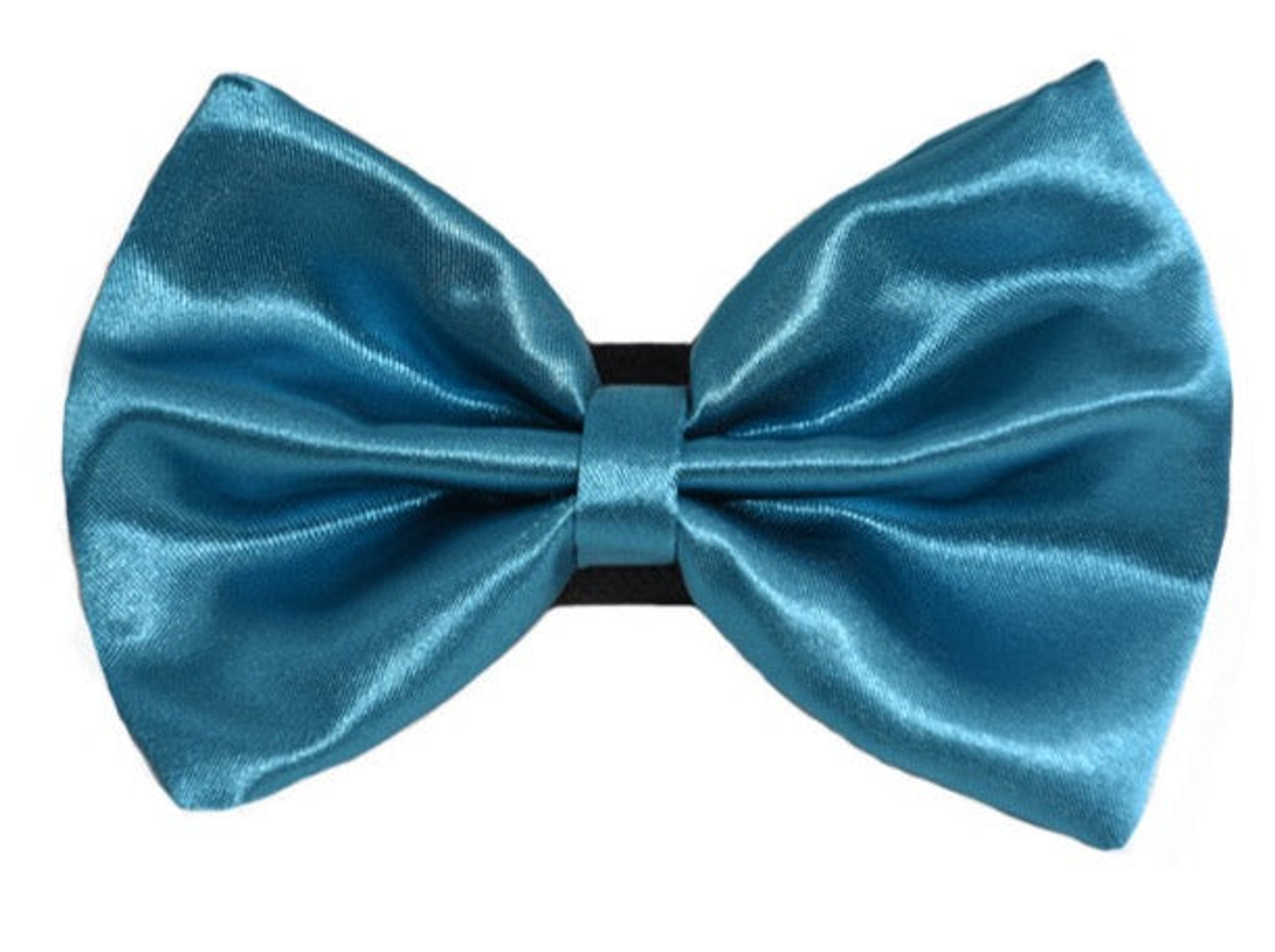 PR3000|Pets Ribbons Image 1