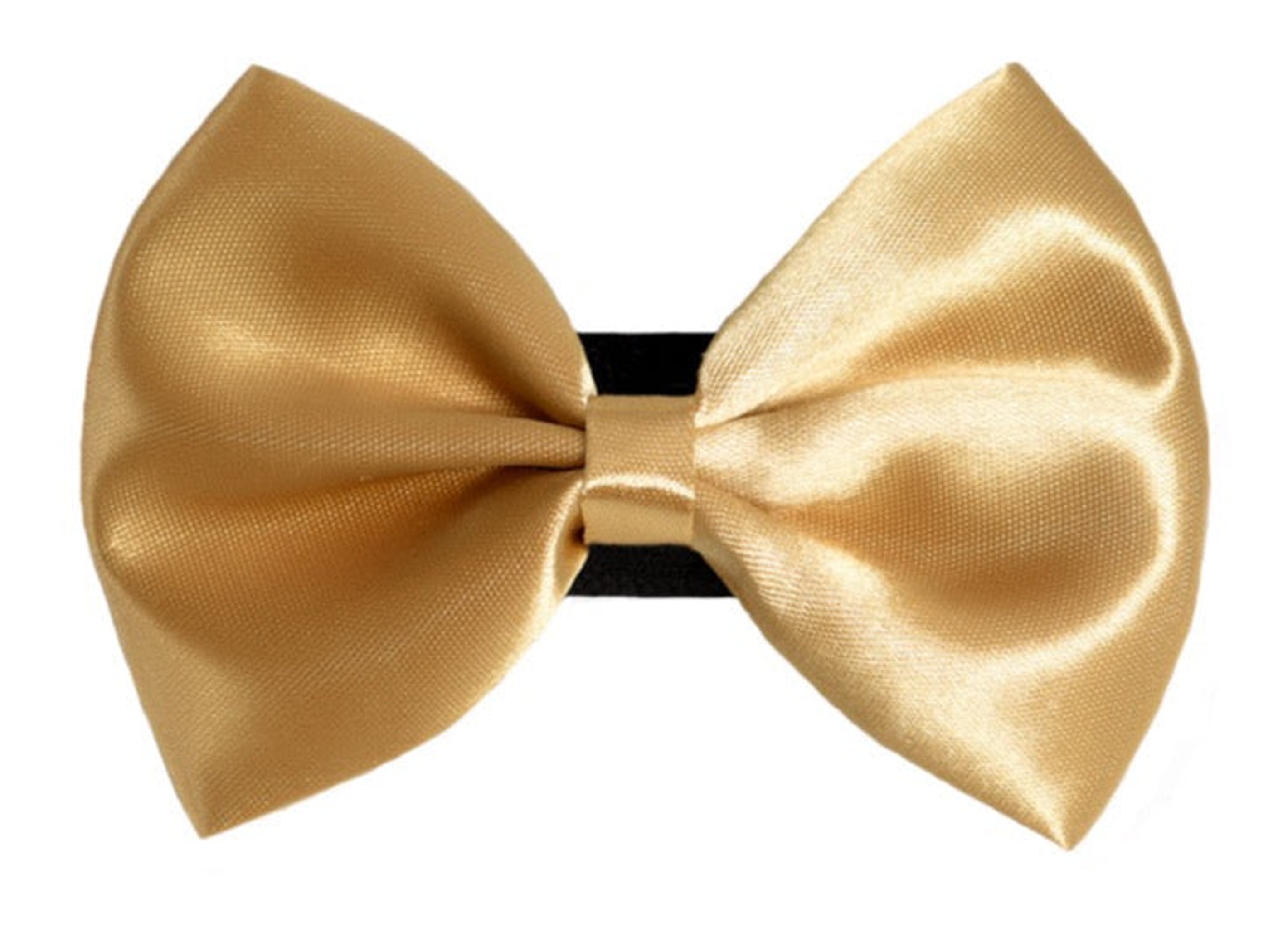 PR3000|Pets Ribbons Image 1