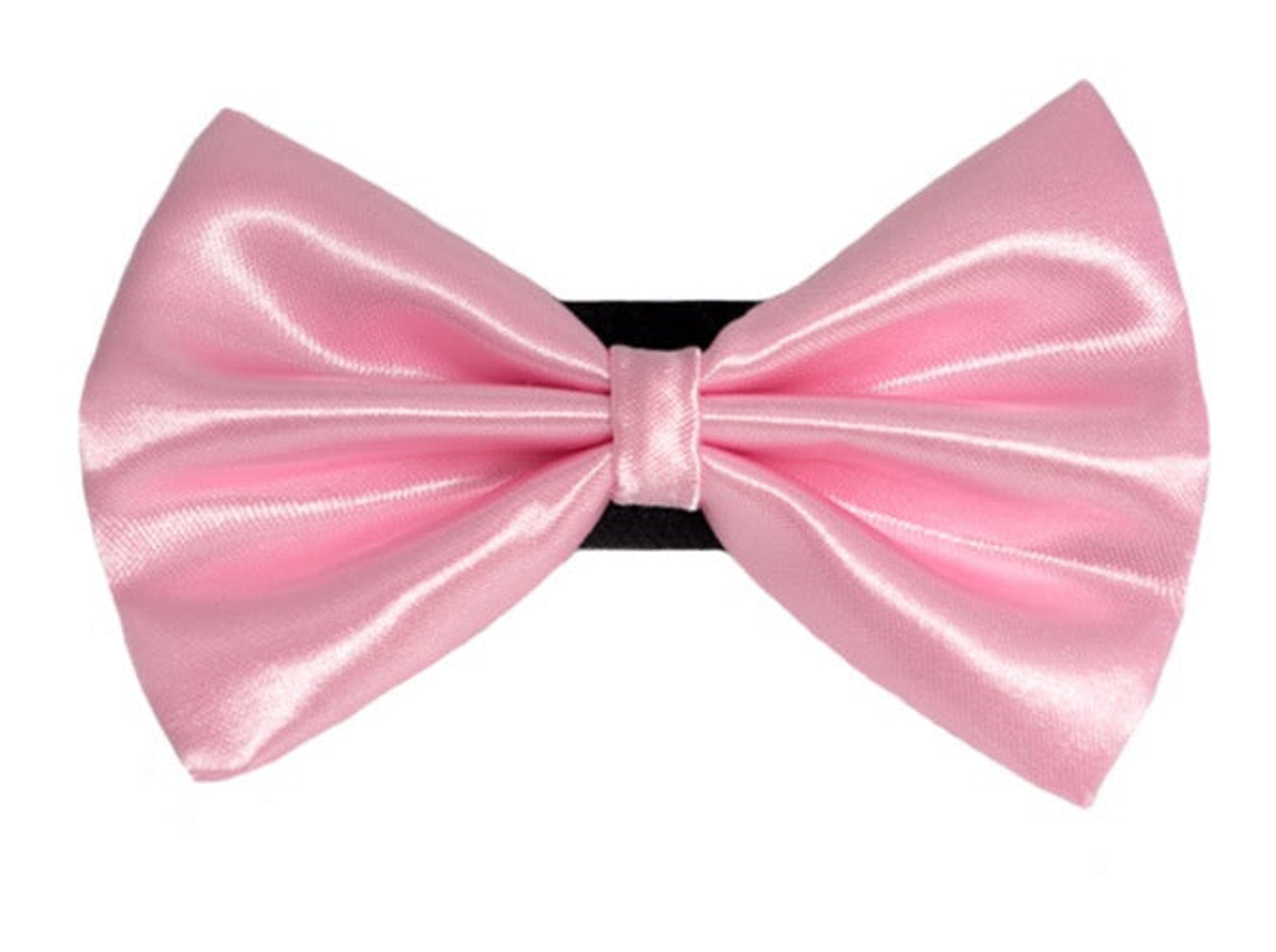 PR3000|Pets Ribbons Image 1