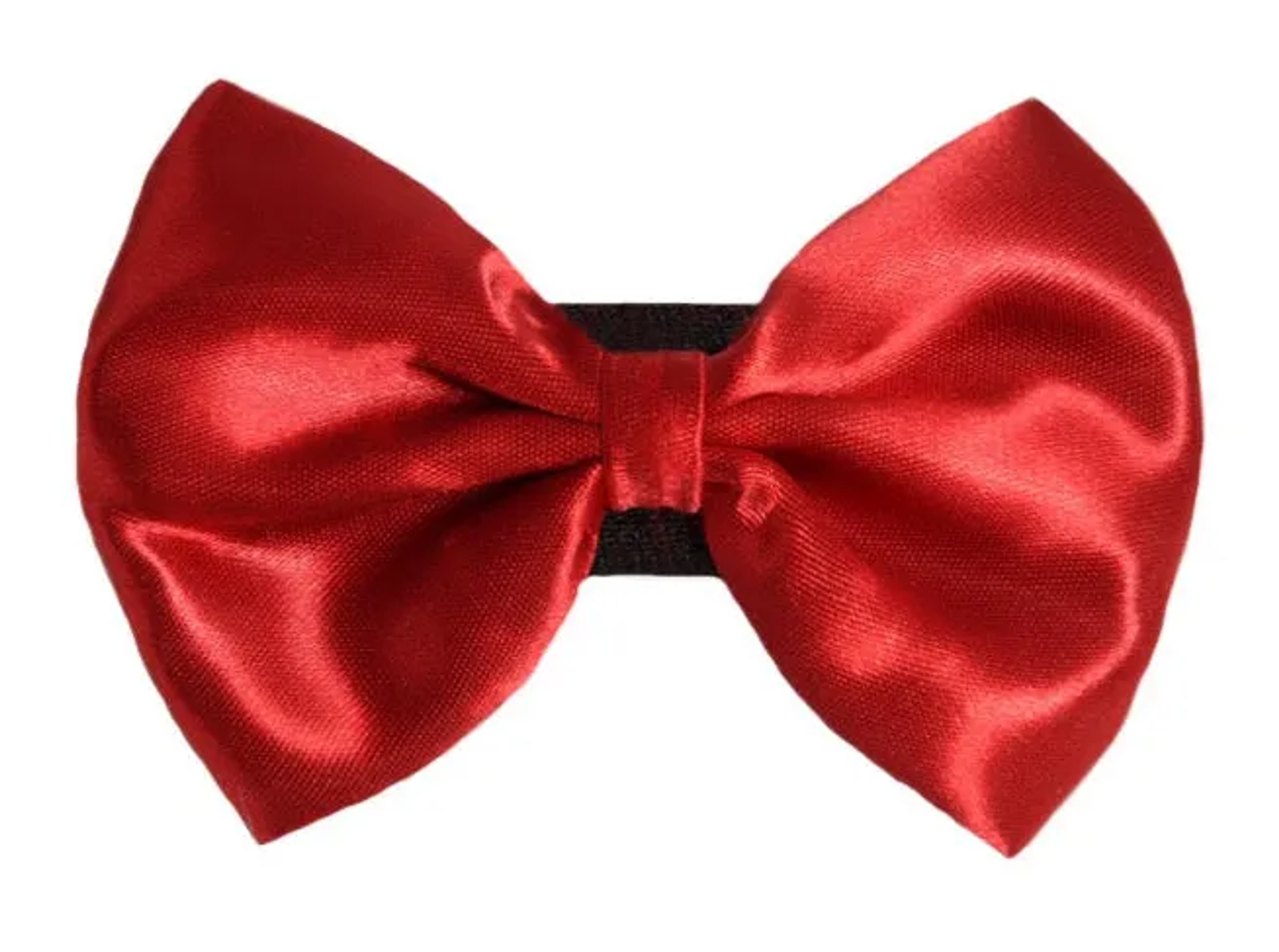 PR3000|Pets Ribbons Image 1