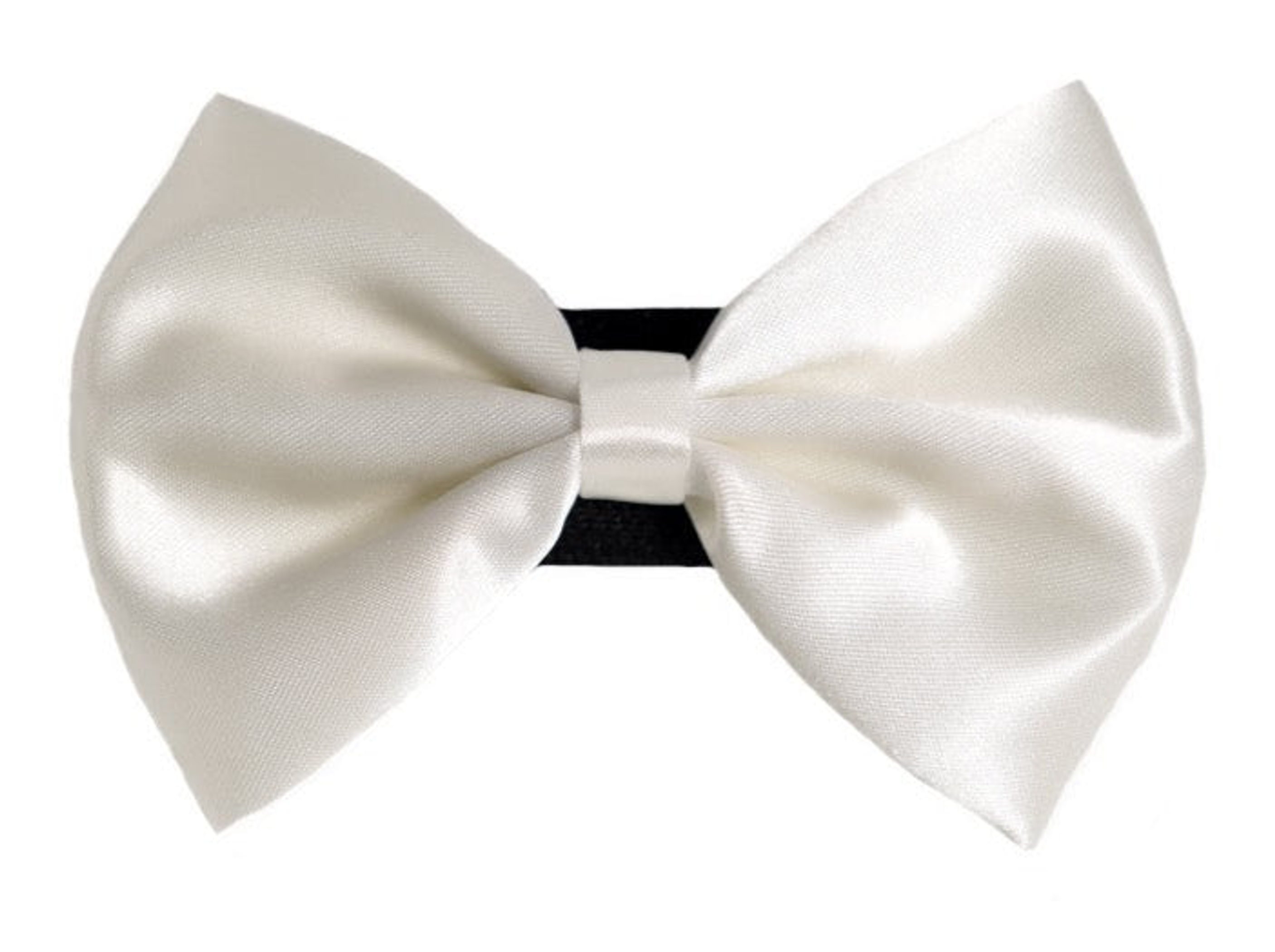 PR3000|Pets Ribbons Image 1