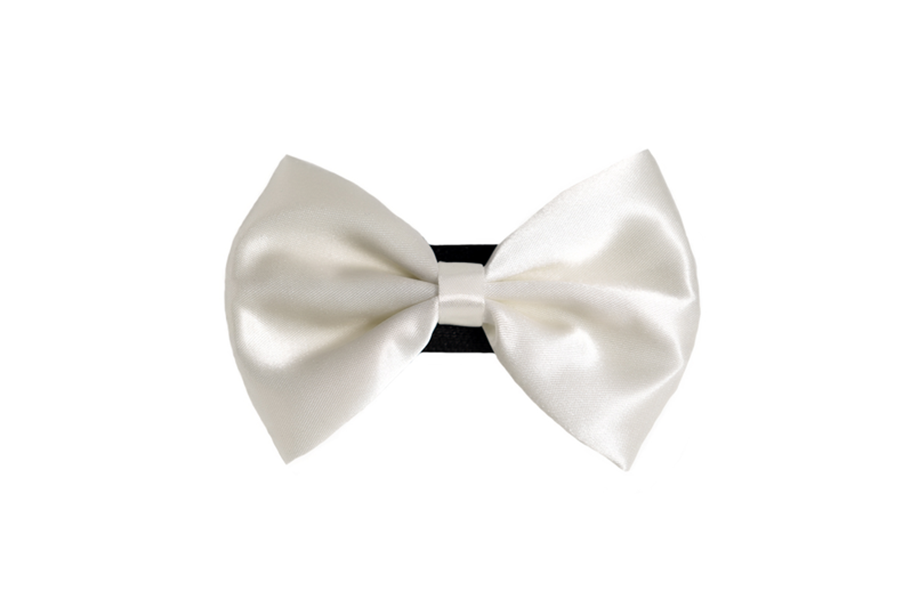 PR3000|Pets Ribbons Image 1